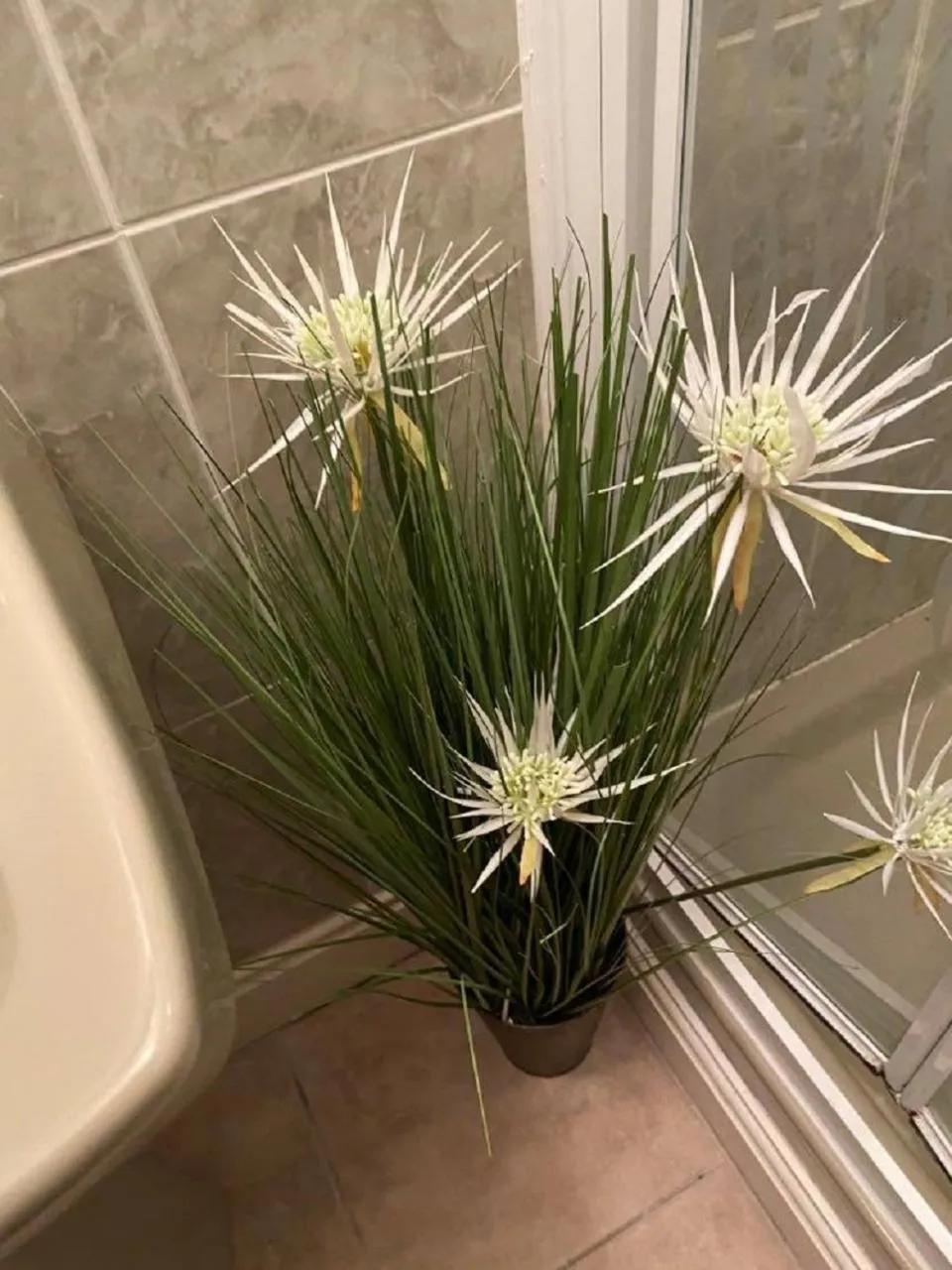 Bathroom in Burlington Hotel