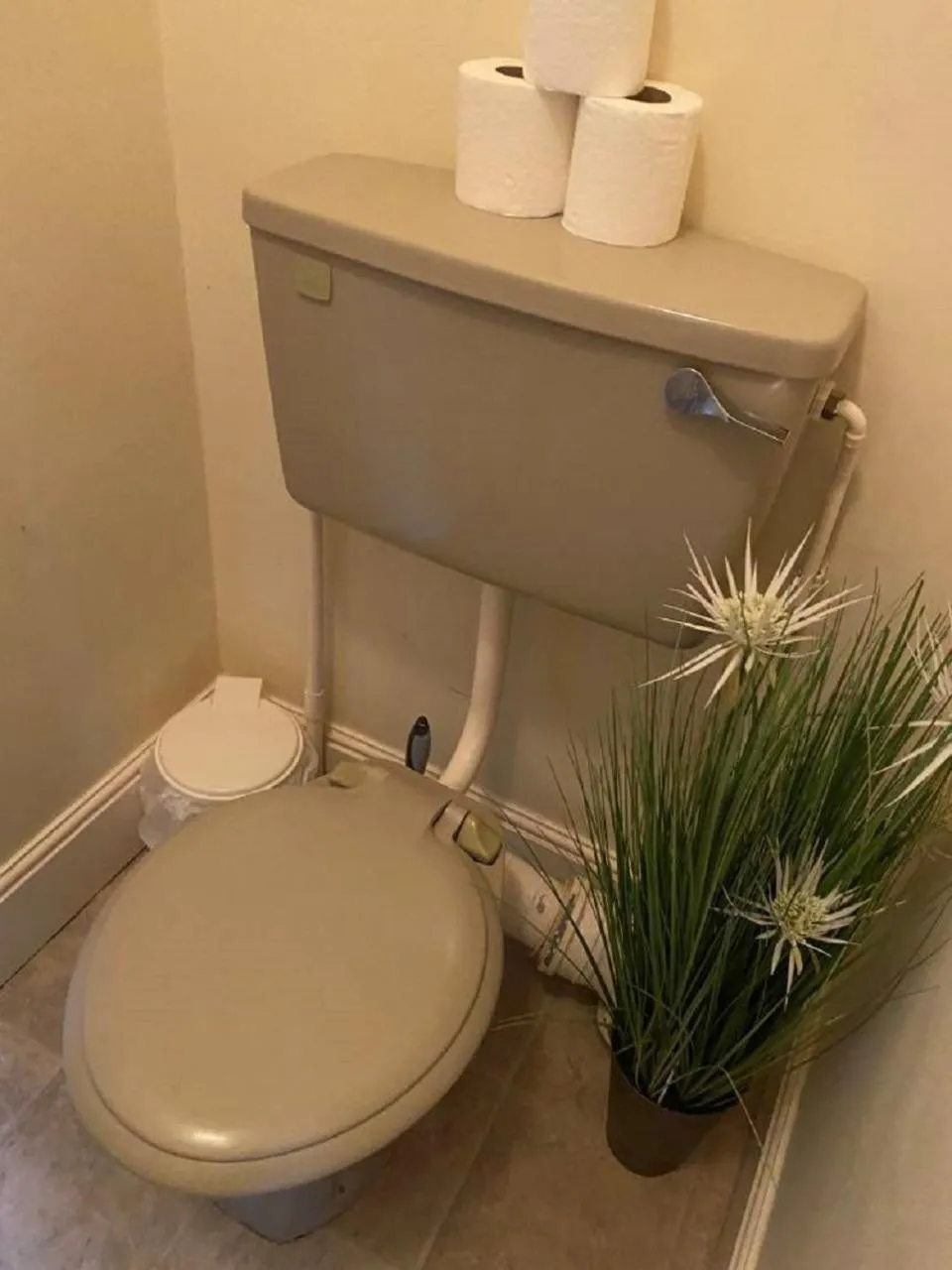 Toilet in Burlington Hotel