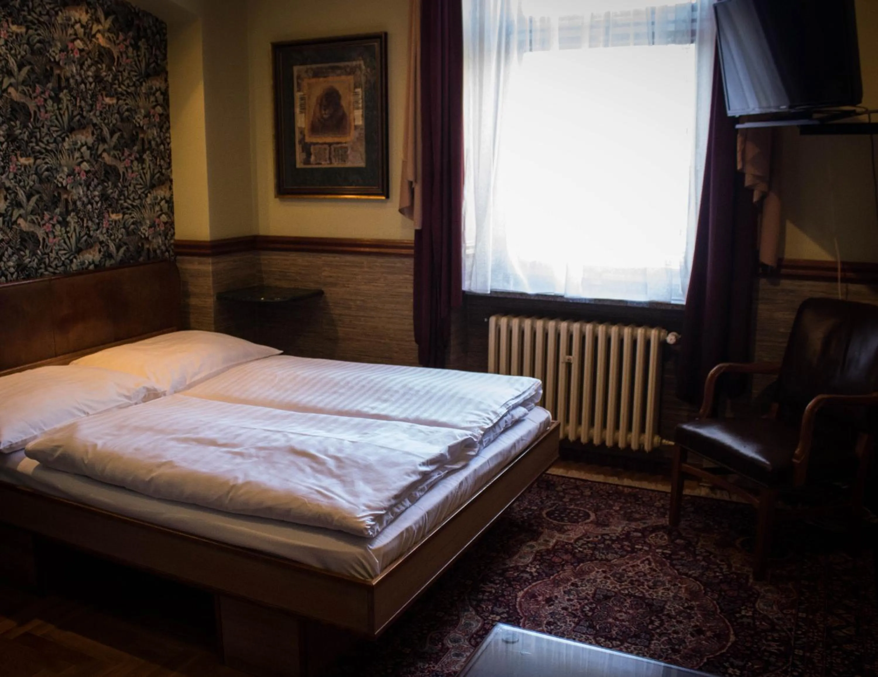 Double Room for Single Use in Hotel Continental