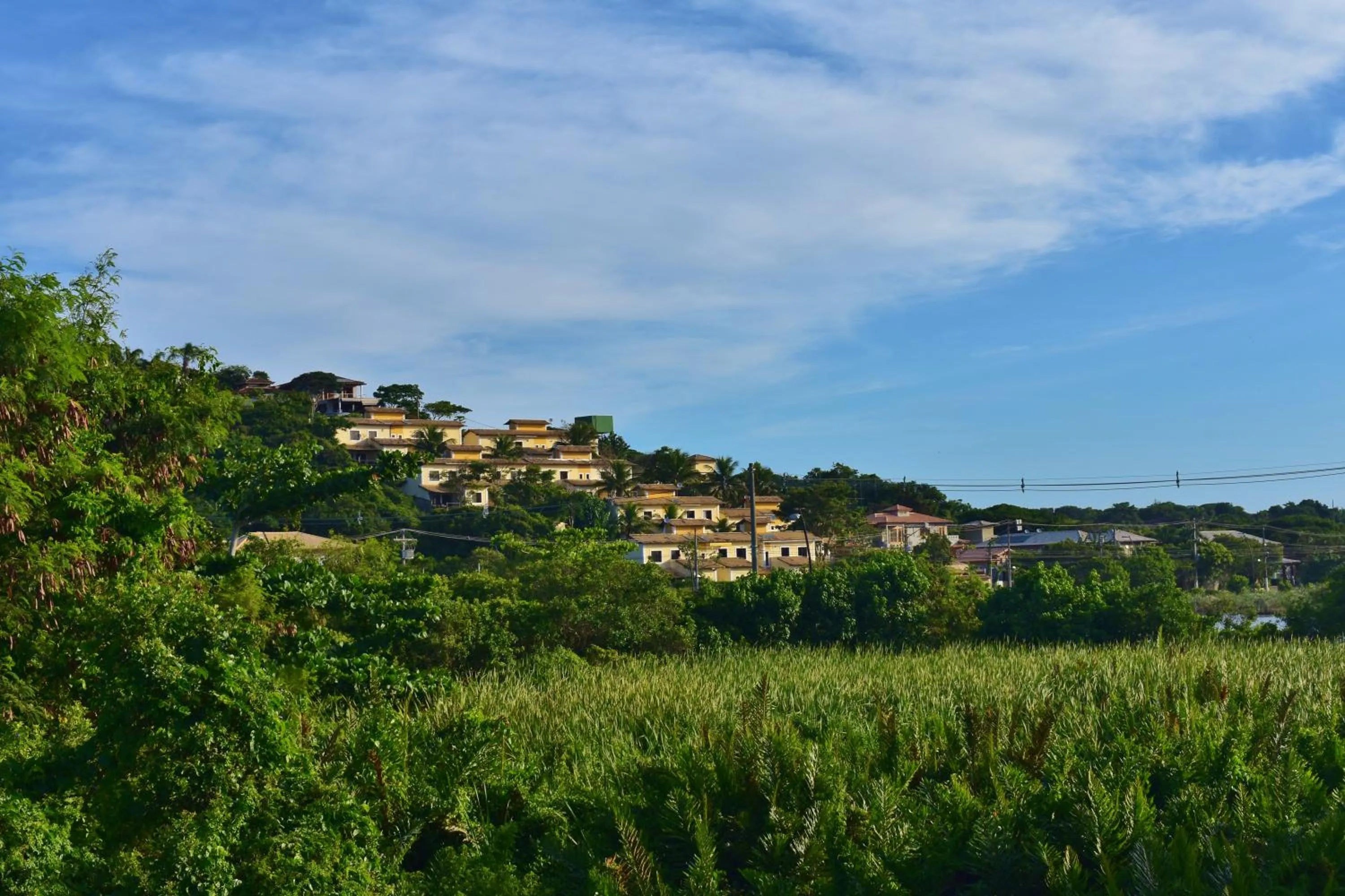 Mountain view in Hibiscus Center