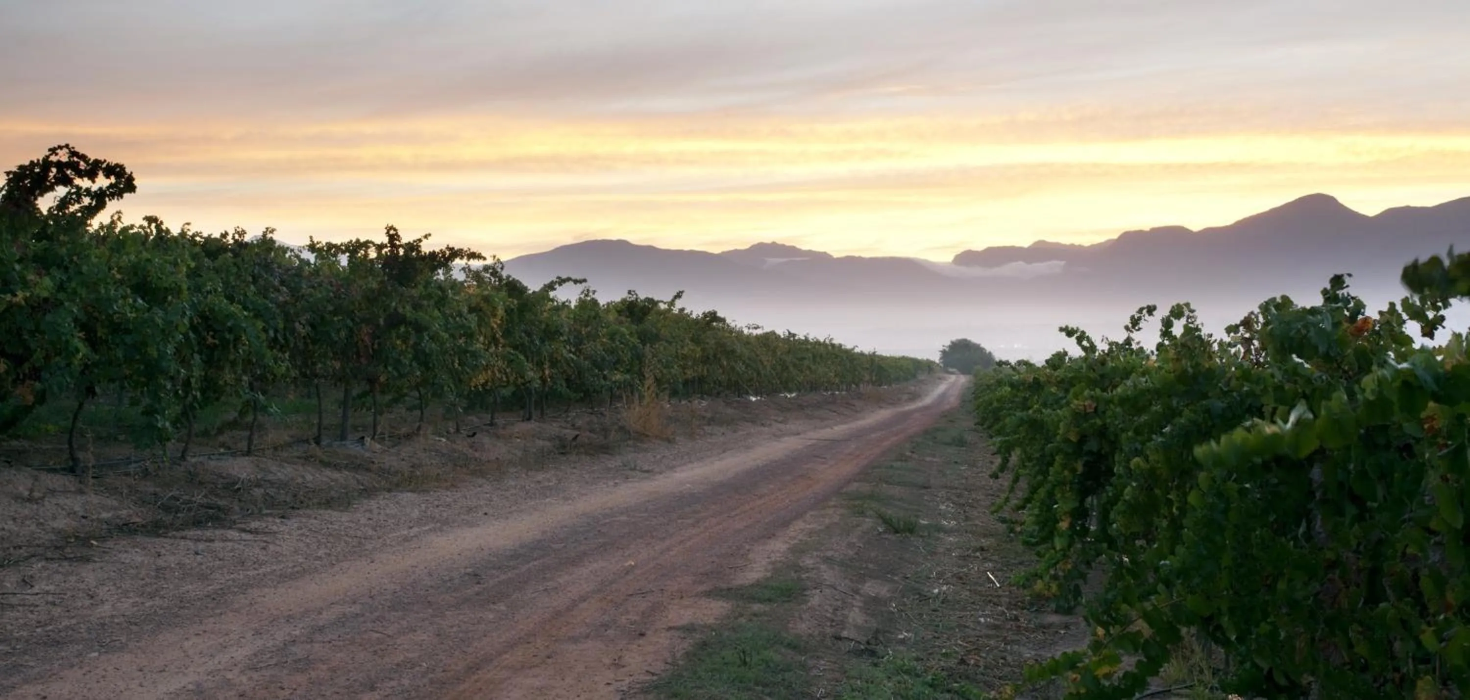 Area and facilities in Under Oaks Guesthouse