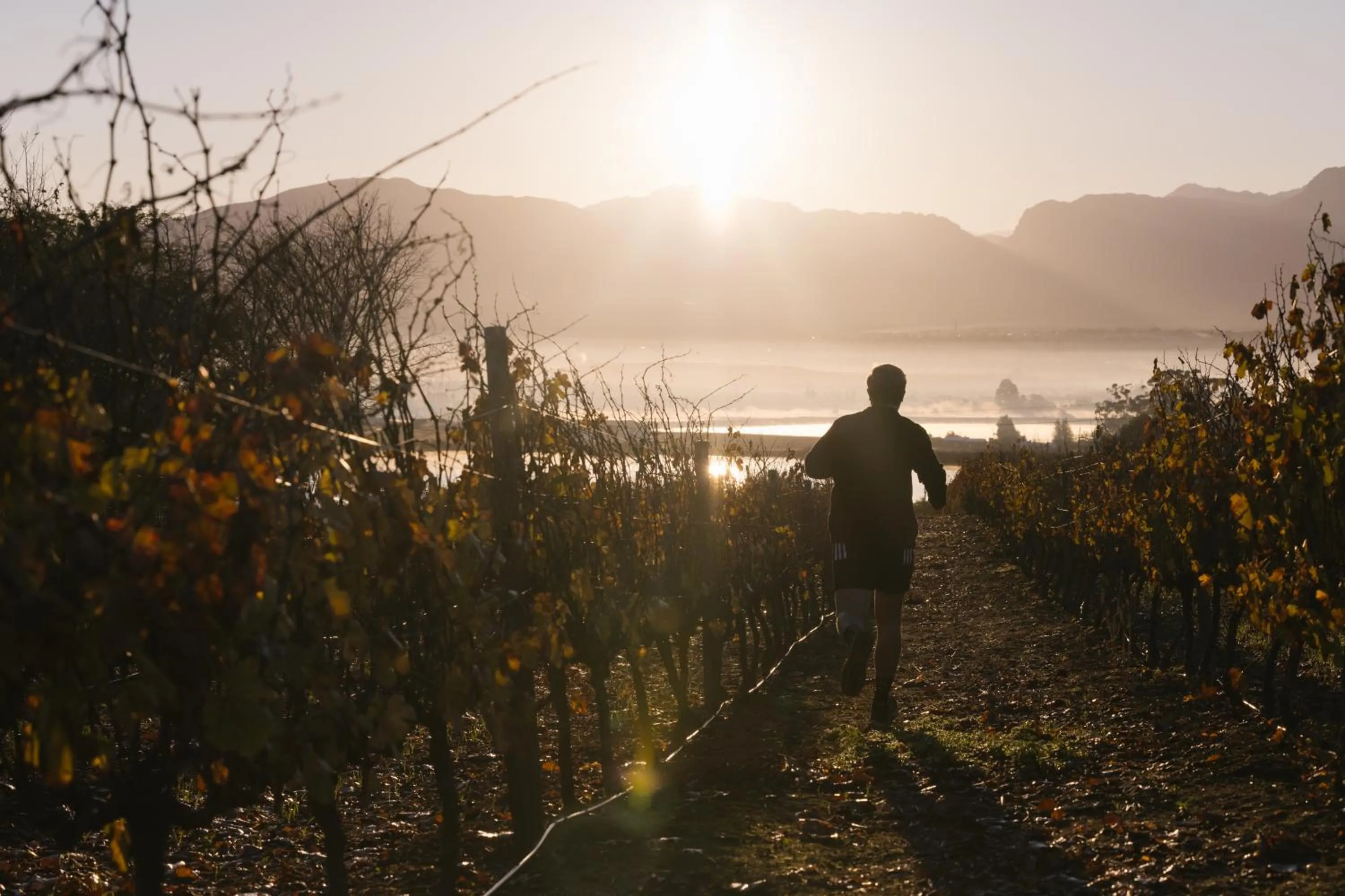 Natural landscape in Under Oaks Guesthouse