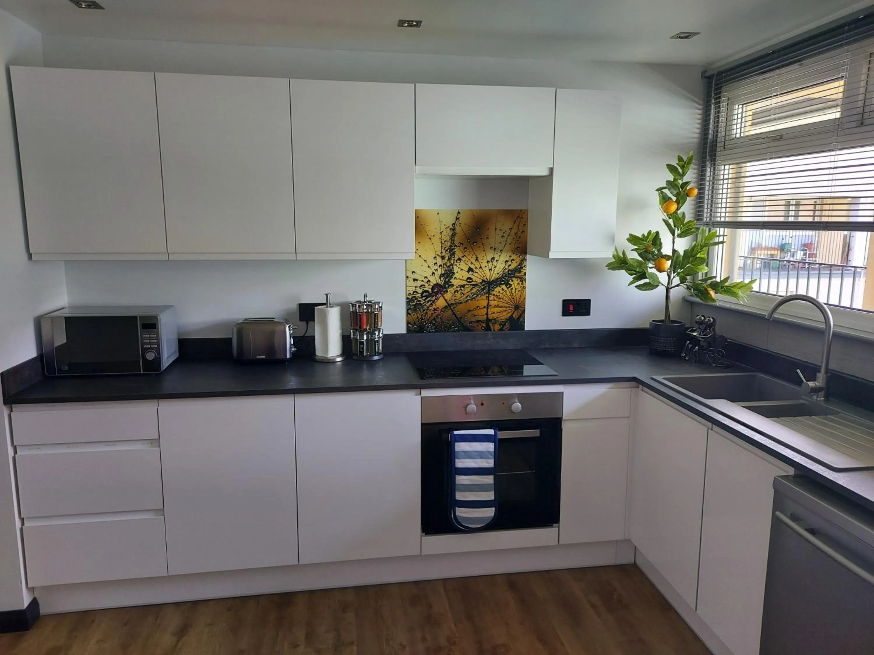 Holyrood New Apartment