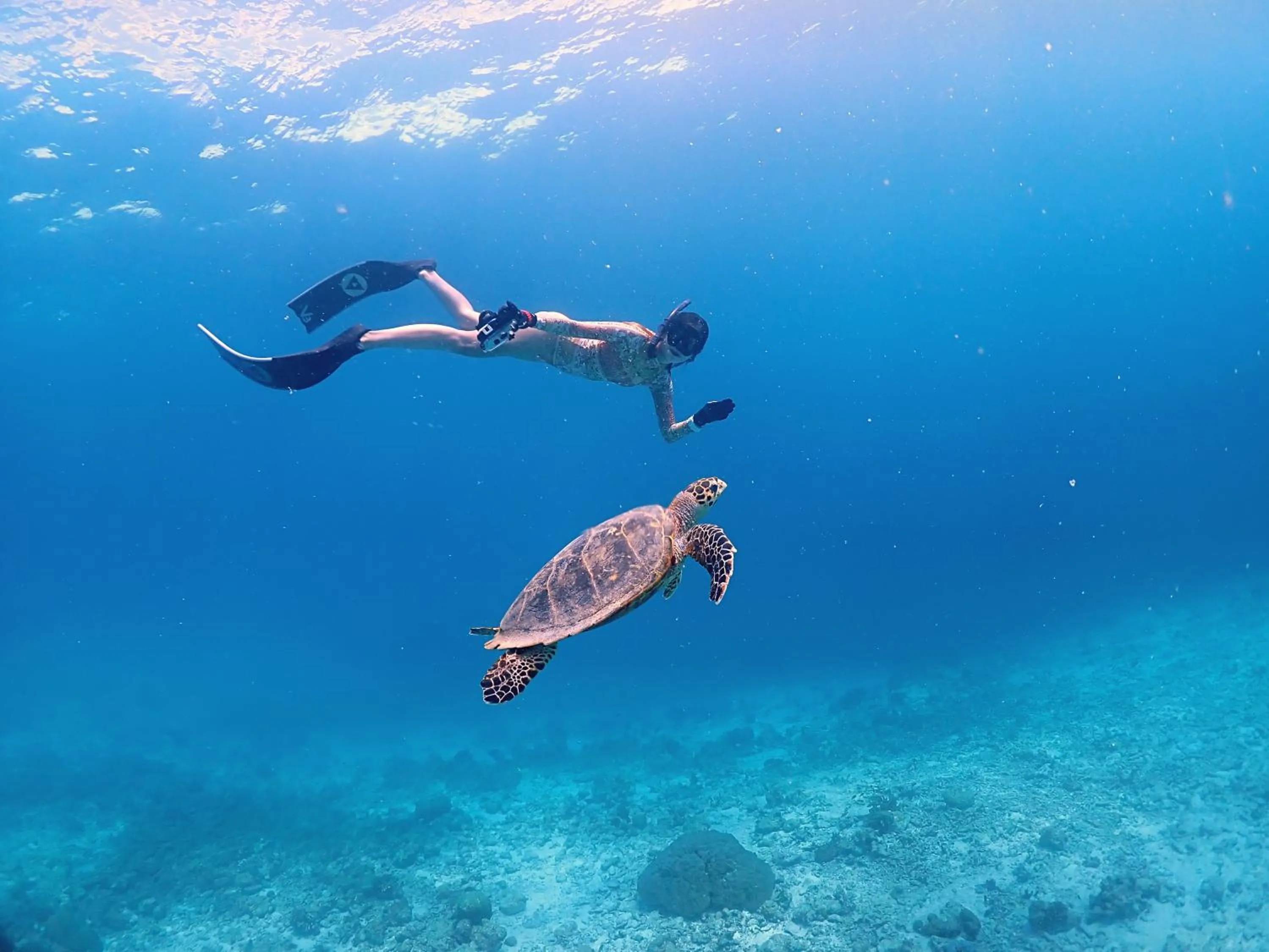 Snorkeling in Rasdu View Inn