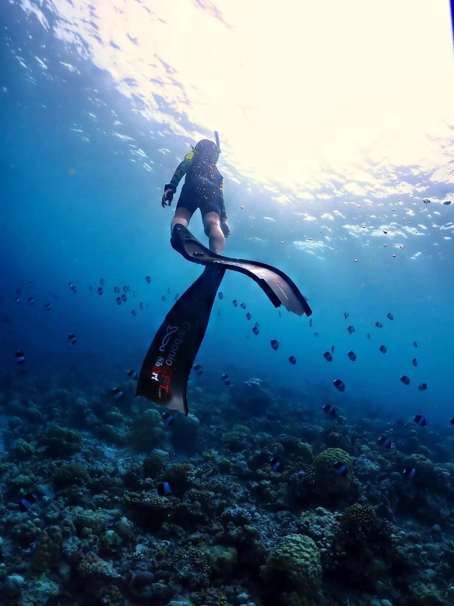 Snorkeling in Rasdu View Inn