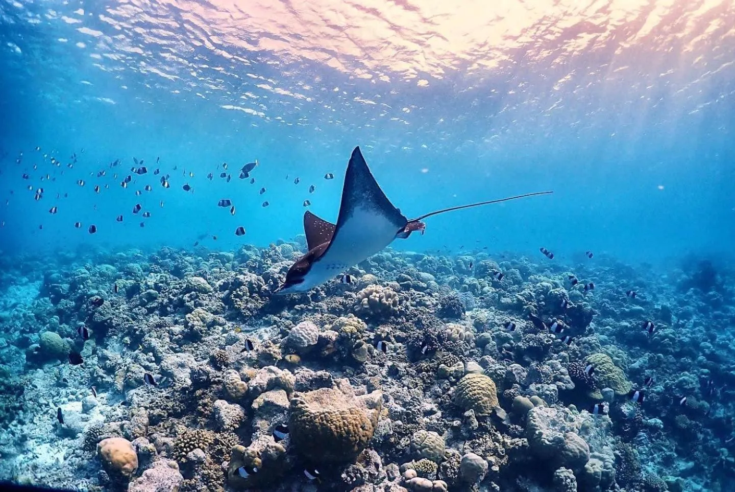 Snorkeling in Rasdu View Inn