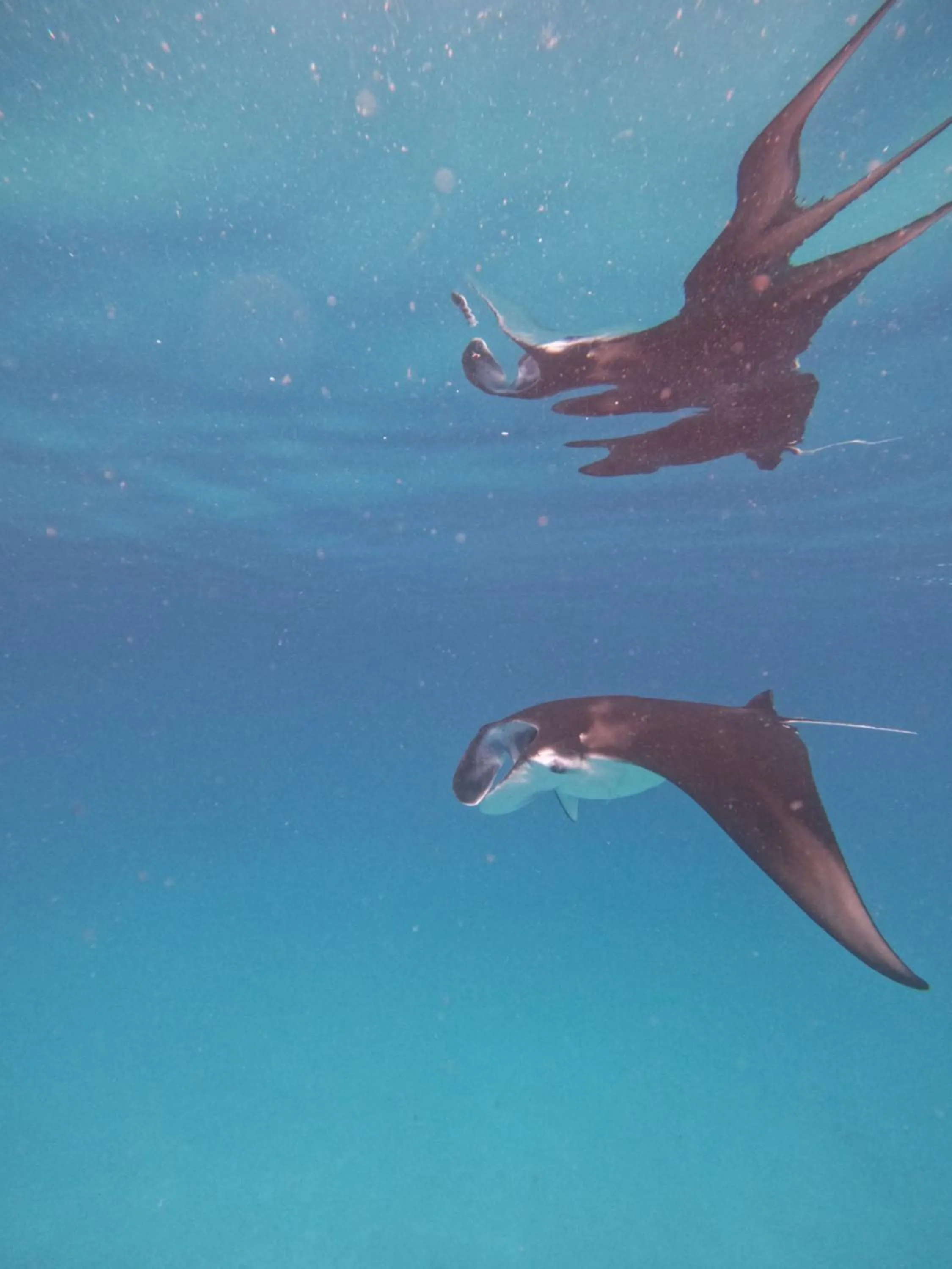 Location in Rasdu View Inn