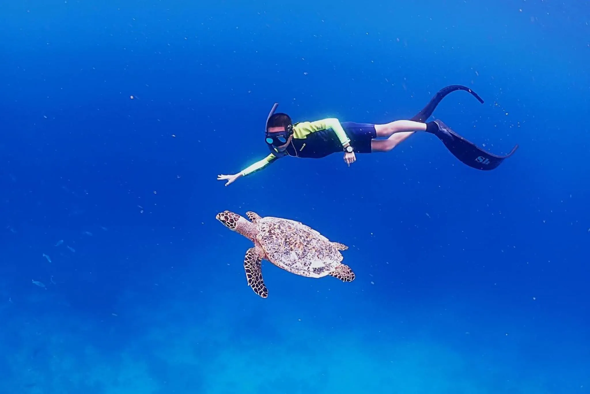 Snorkeling in Rasdu View Inn