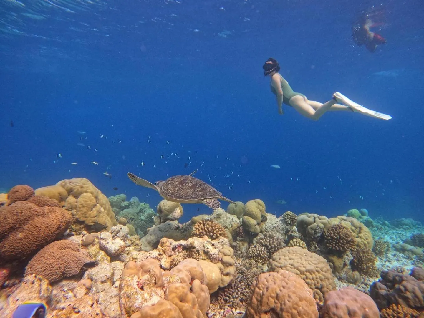 Activities in Rasdu View Inn