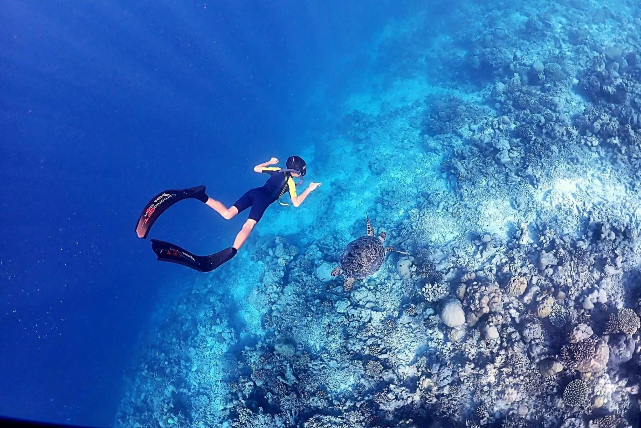 Snorkeling in Rasdu View Inn
