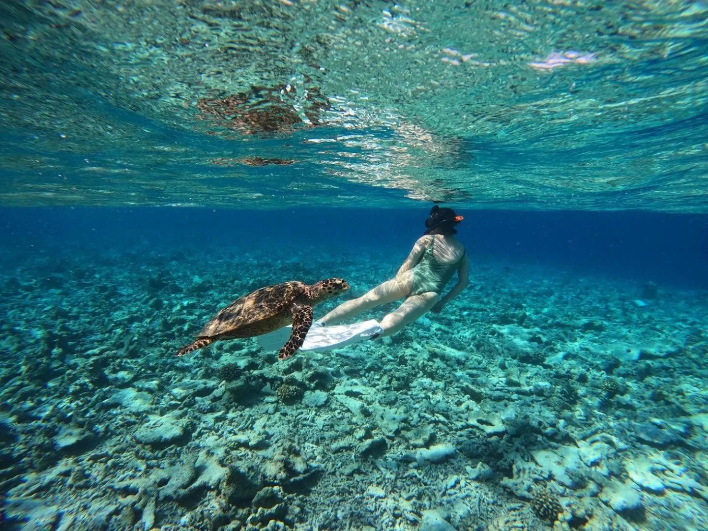 Activities in Rasdu View Inn