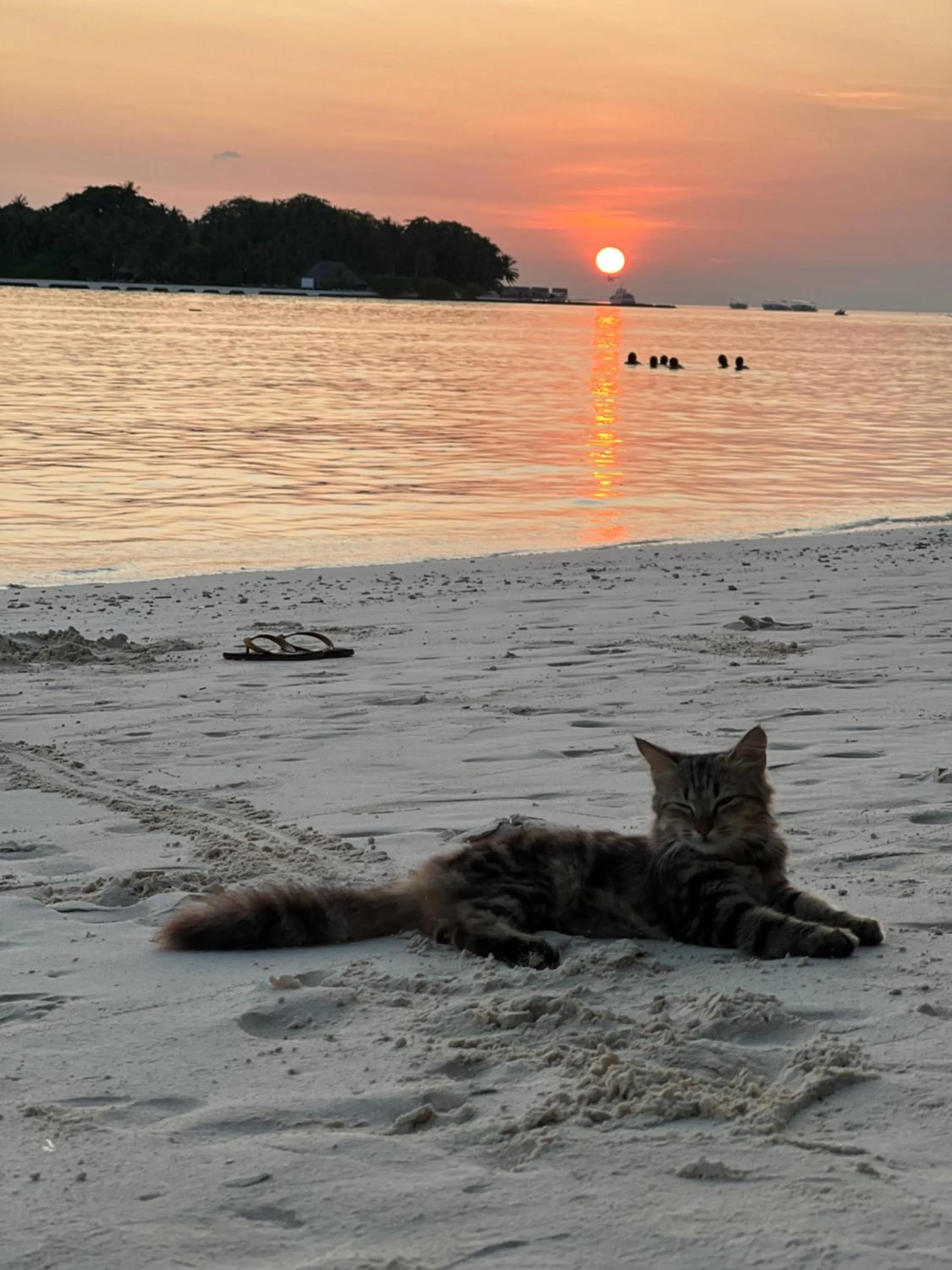 Sunset in Rasdu View Inn