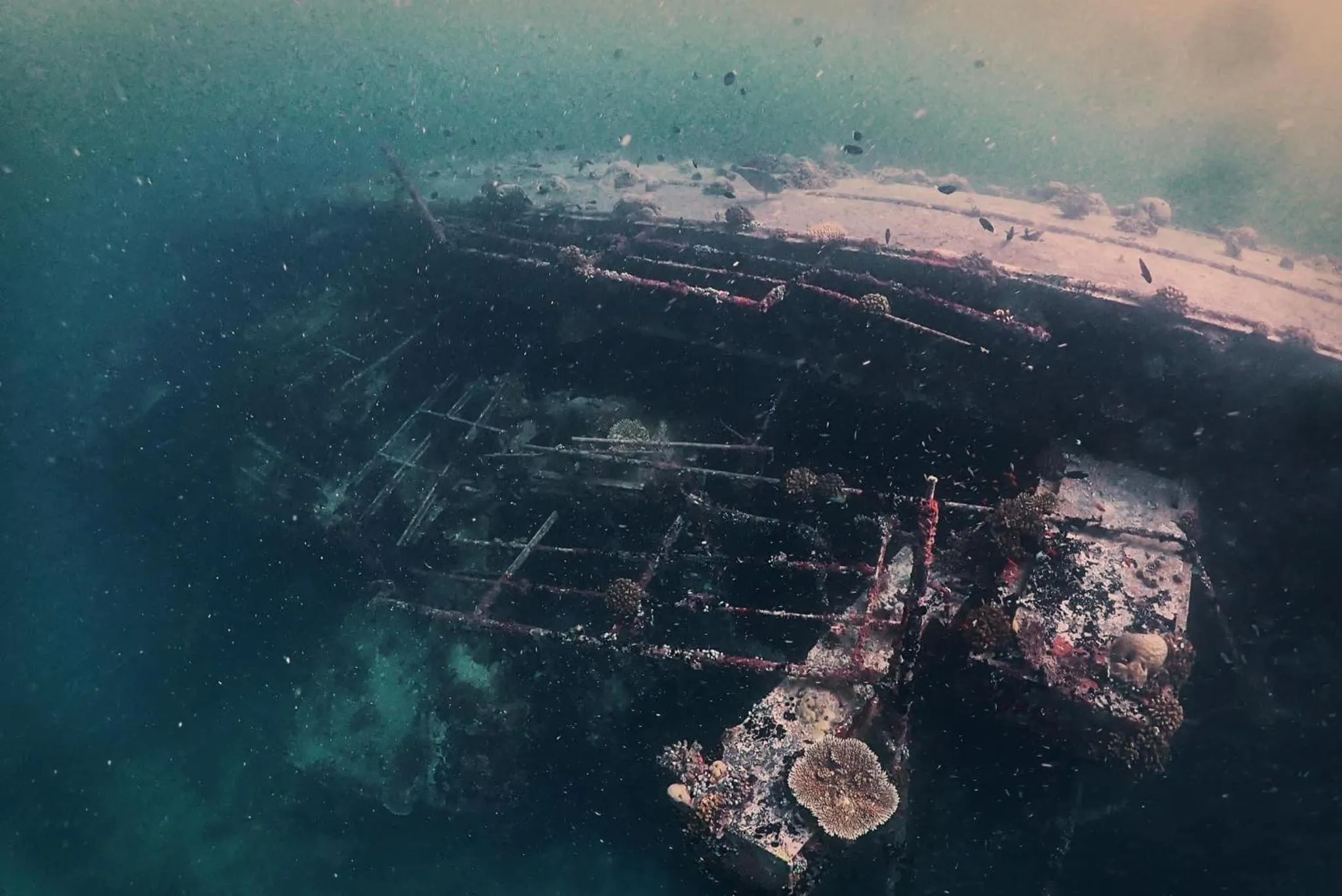 Snorkeling in Rasdu View Inn