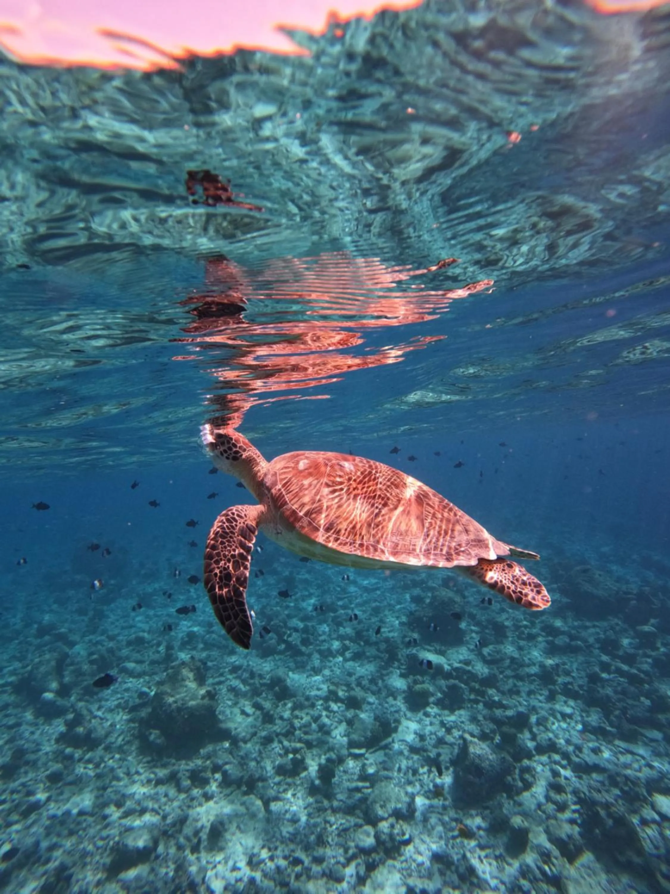 Location in Rasdu View Inn