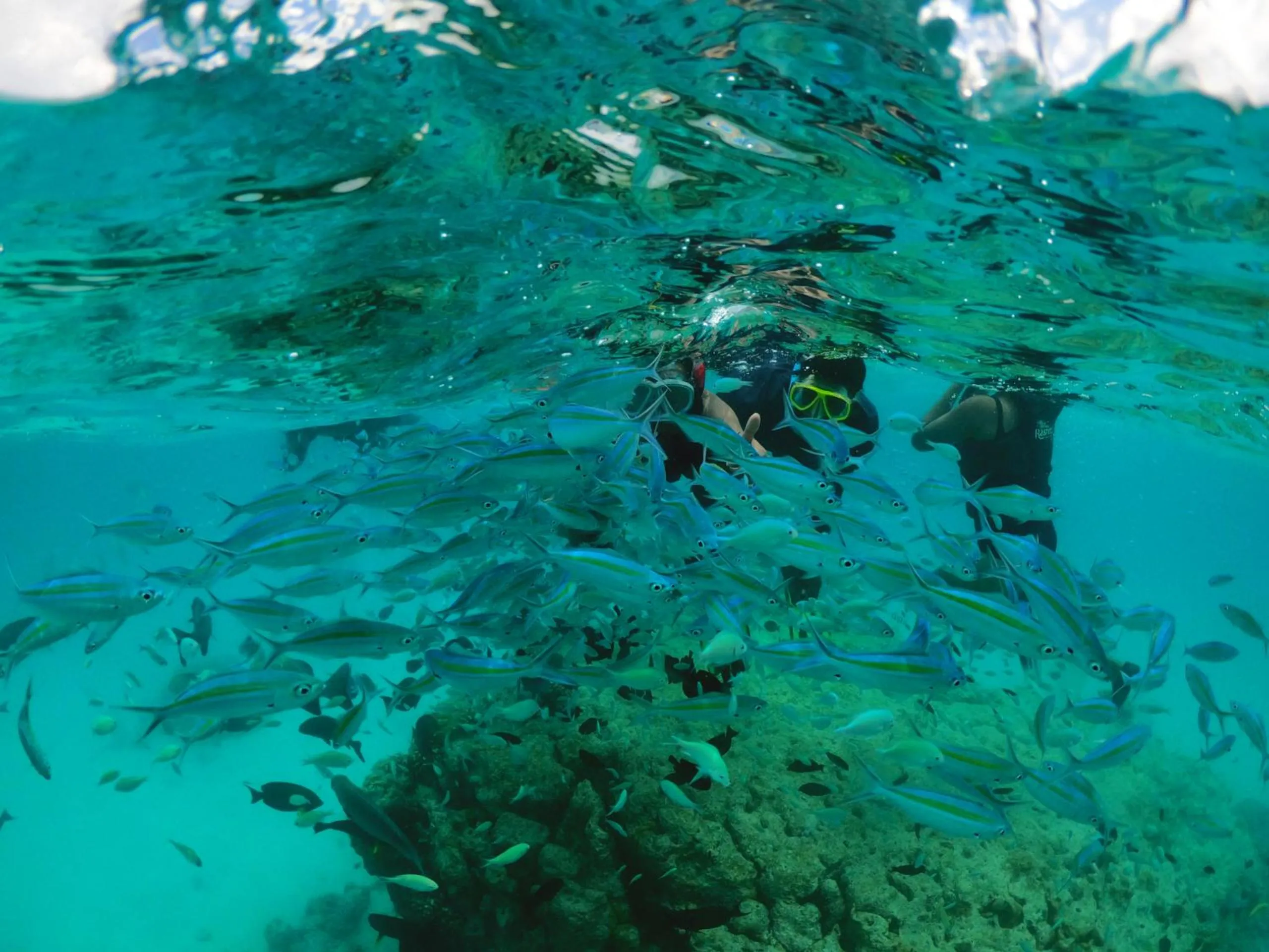 Activities in Rasdu View Inn