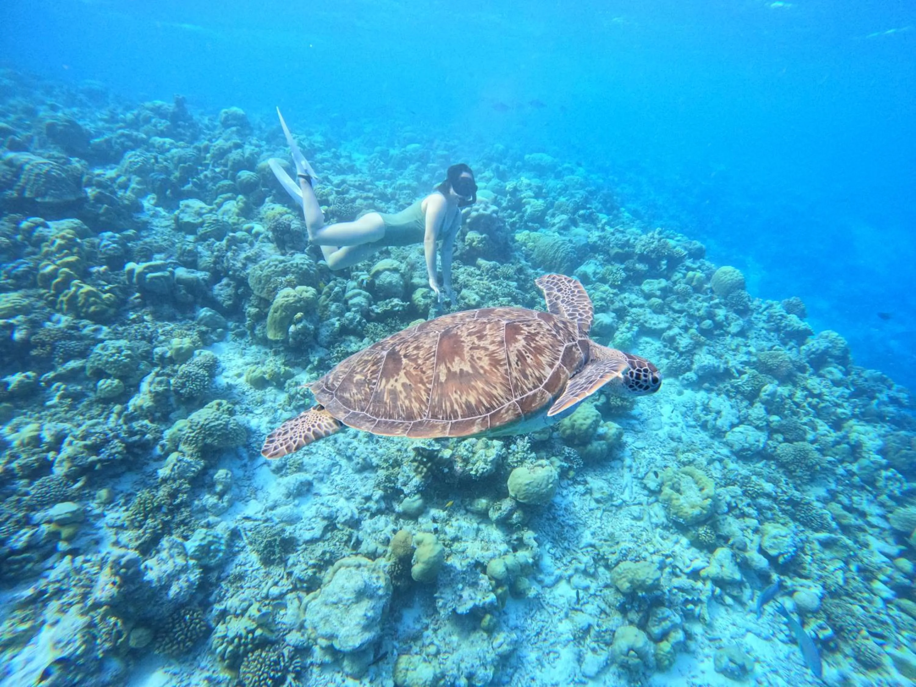 Activities in Rasdu View Inn