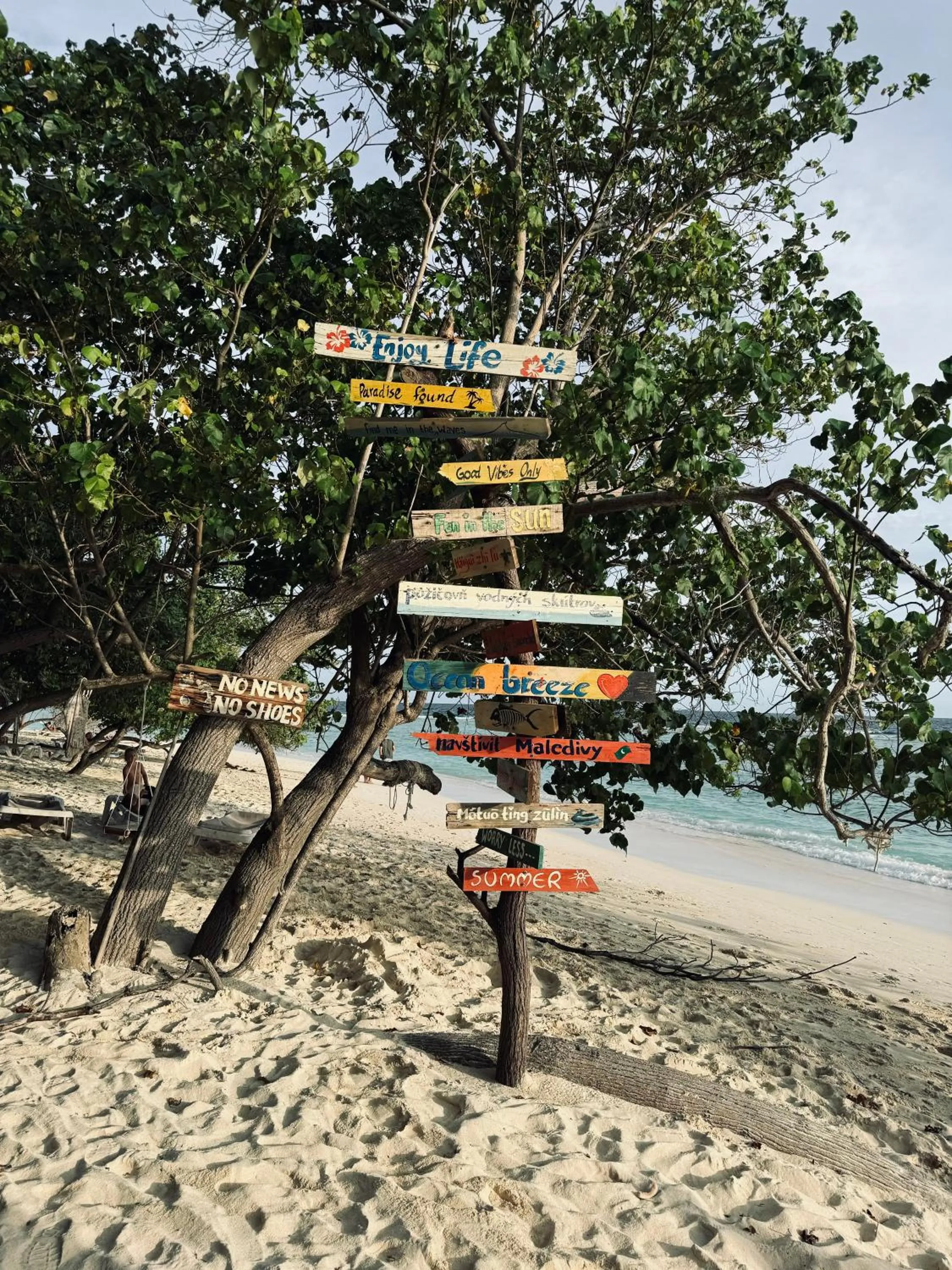 Beach in Rasdu View Inn