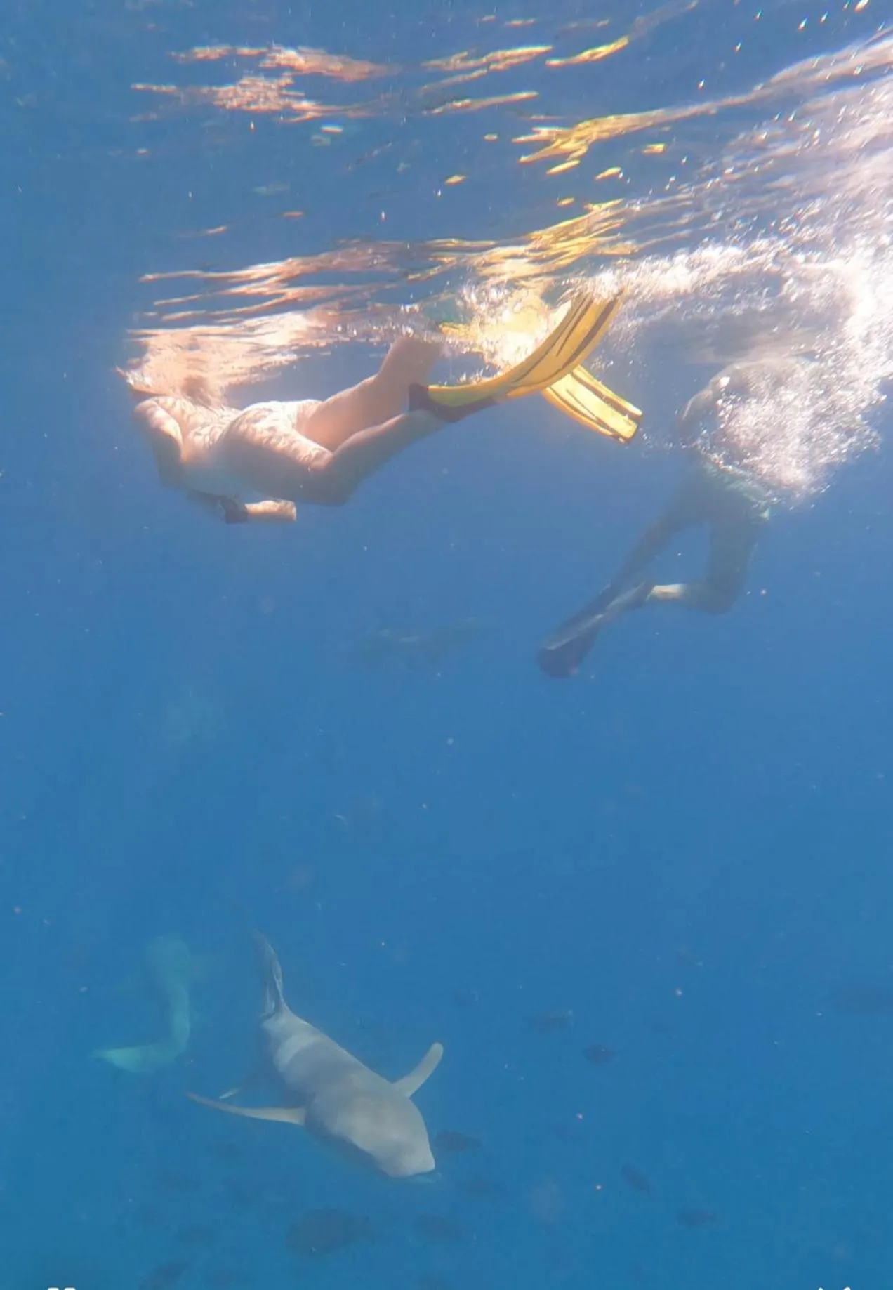 Activities in Rasdu View Inn