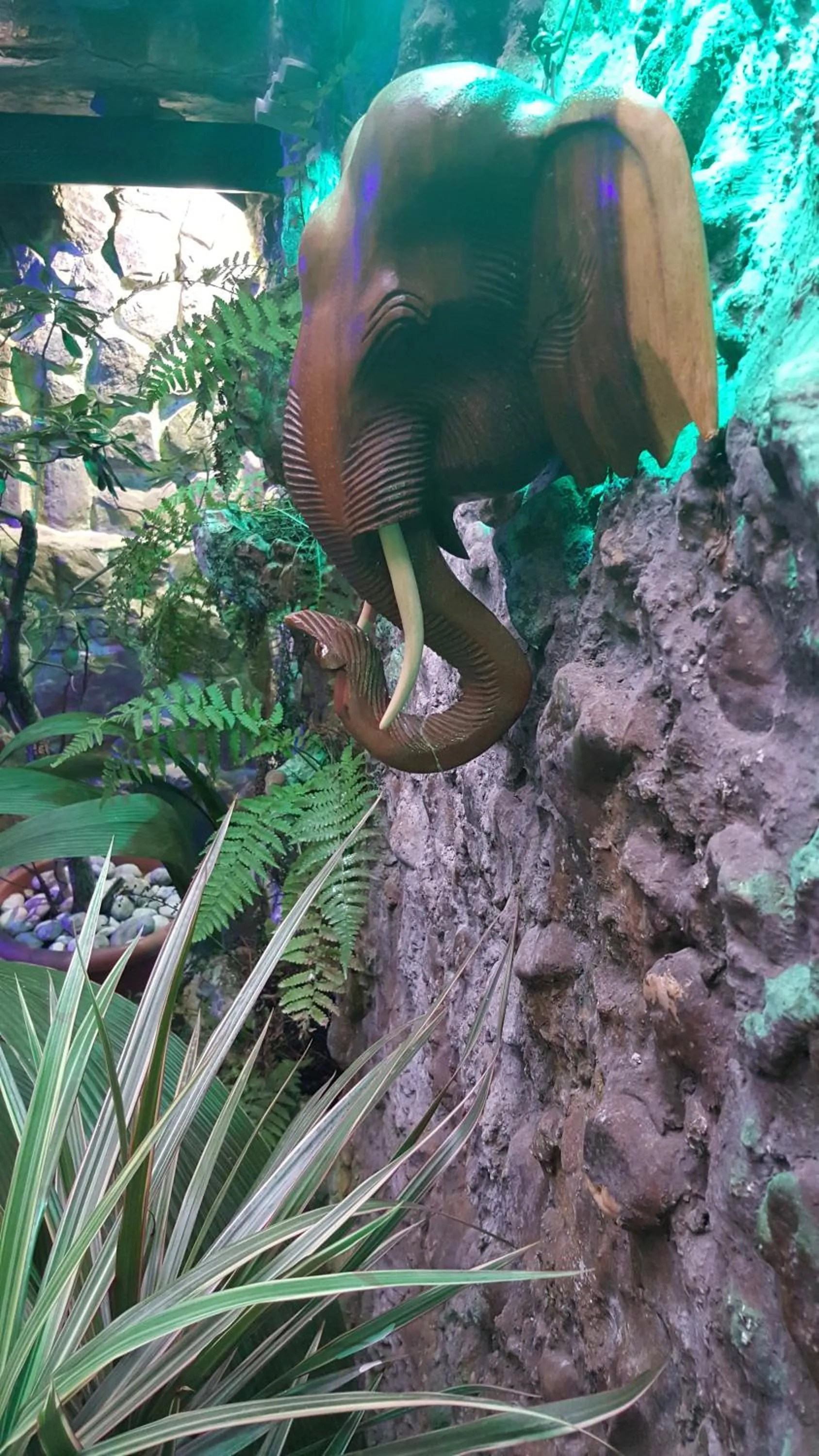 Decorative detail in Edinburgh