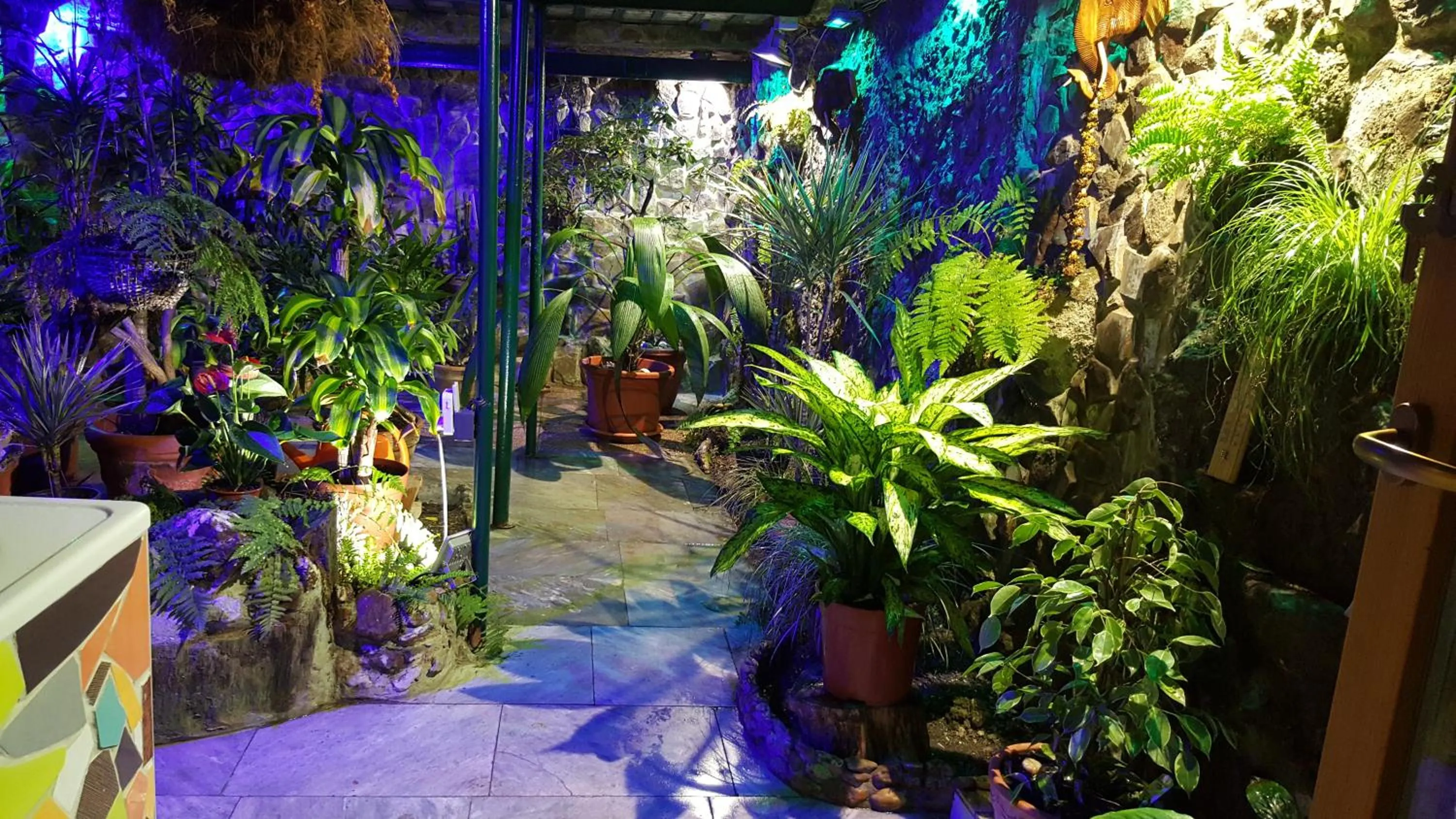 Decorative detail in Edinburgh