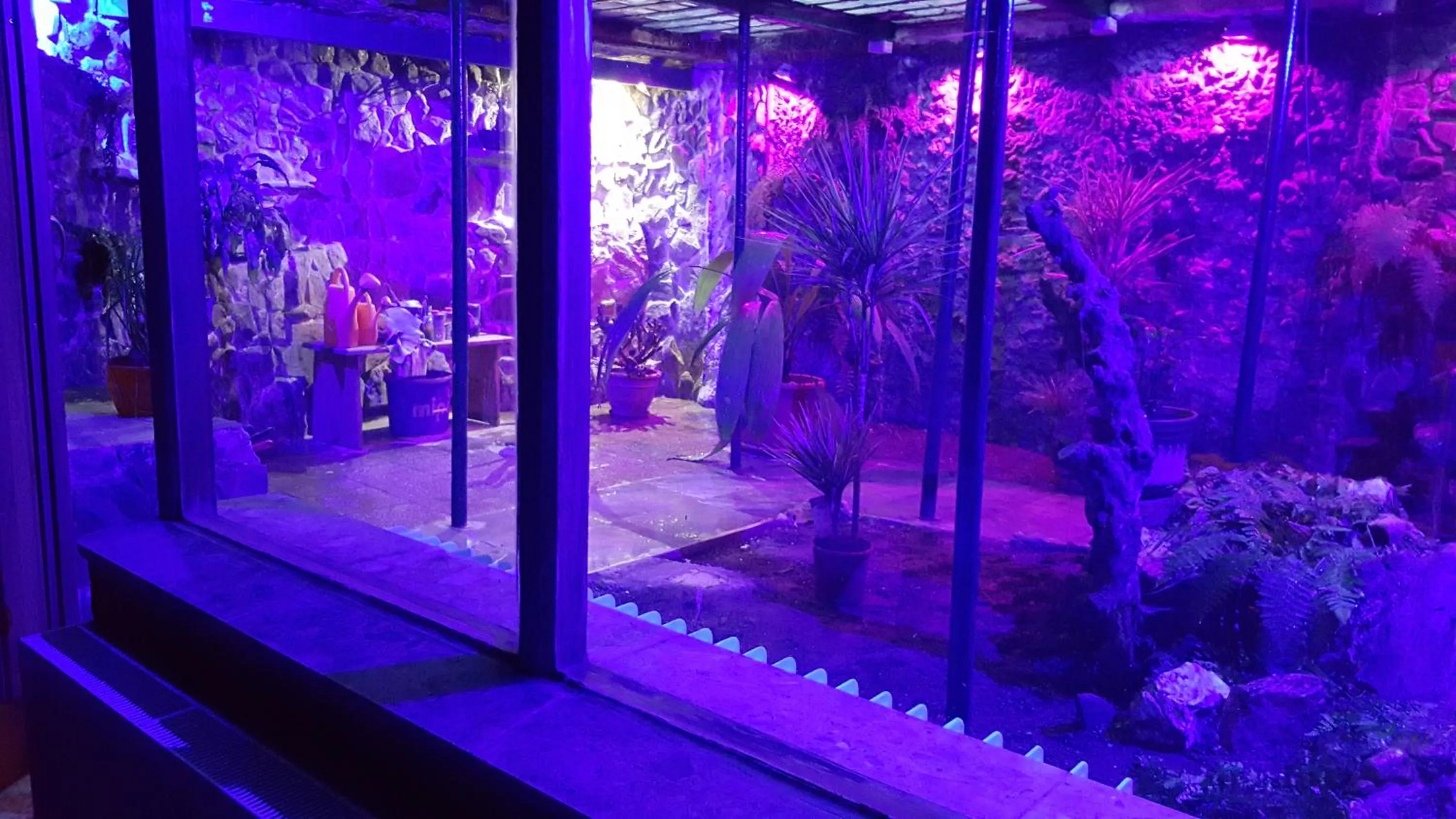 Decorative detail in Edinburgh