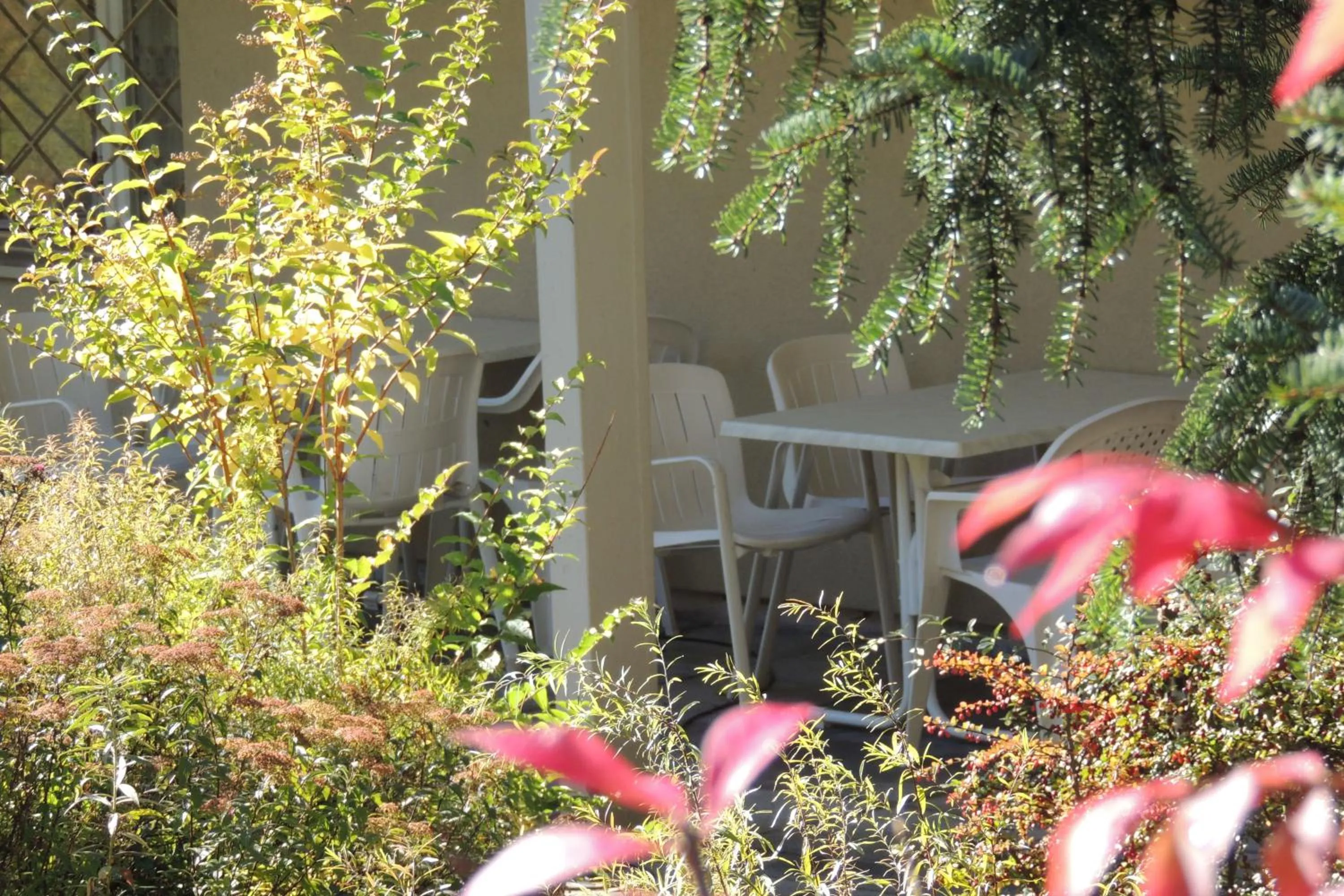 Garden, Property Building in B&B Haus Schönstatt contactless- Check-In