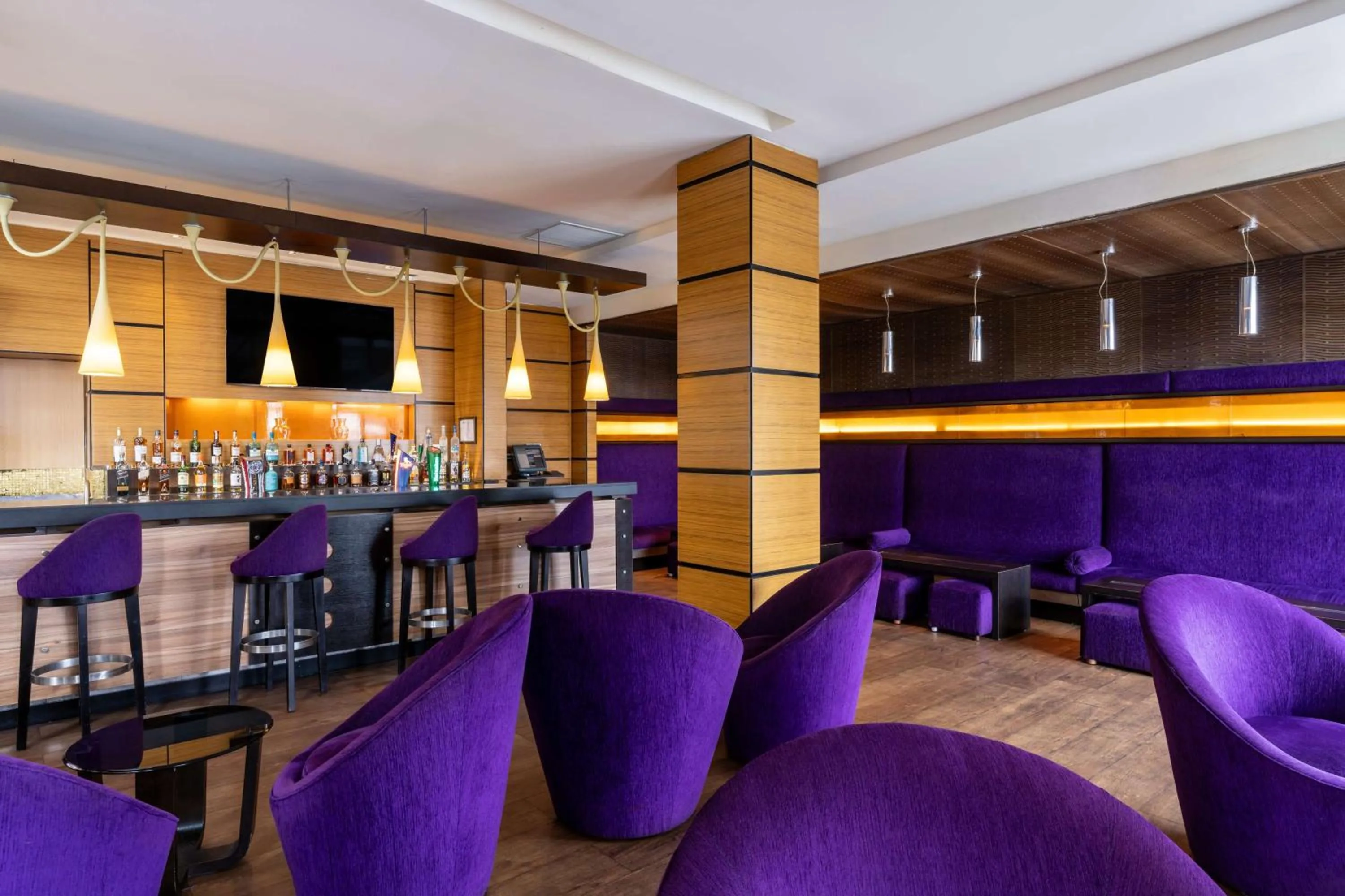 Lounge or bar in Radisson Blu Anchorage Hotel