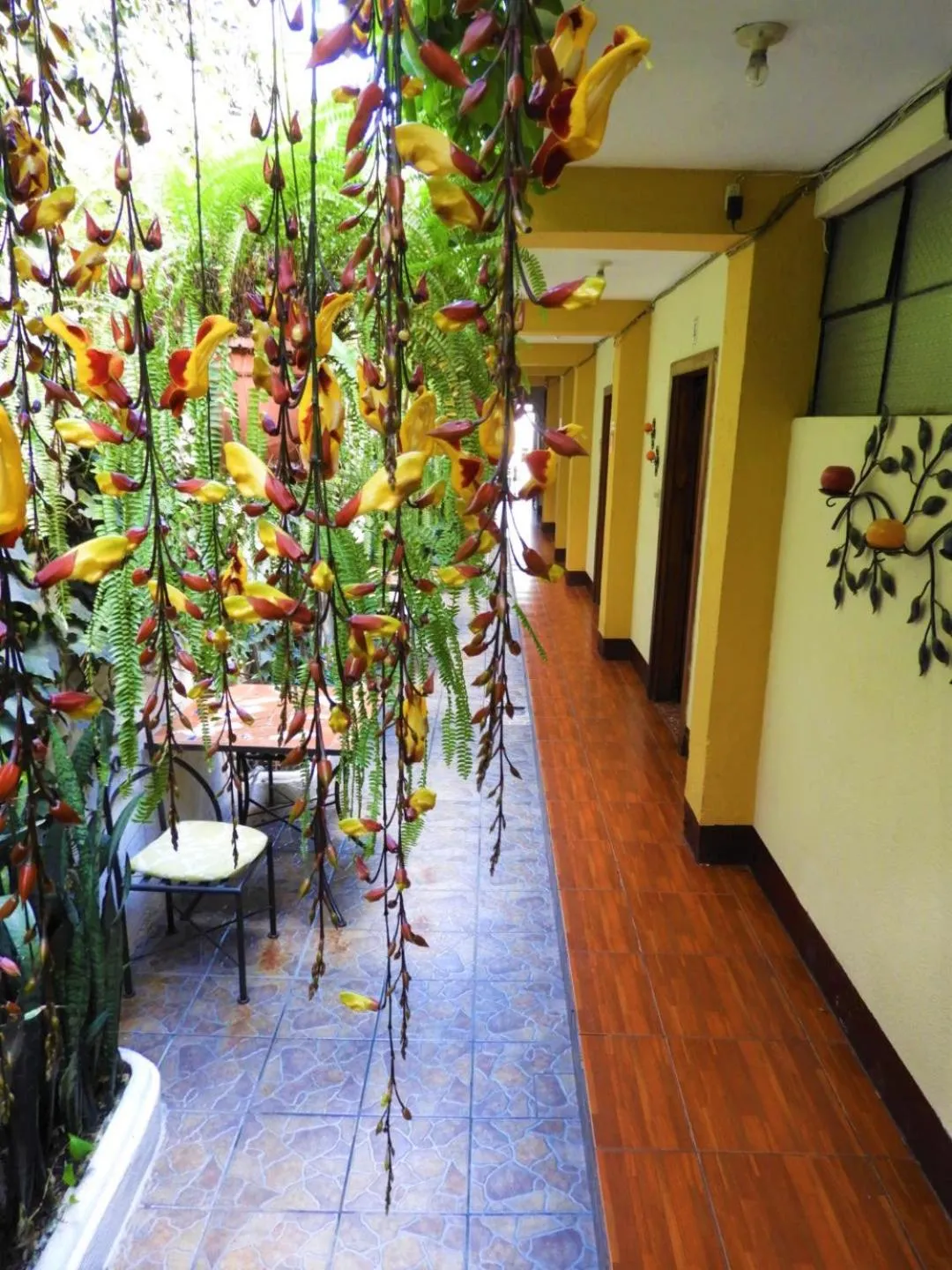 Patio in Hostal Antigua