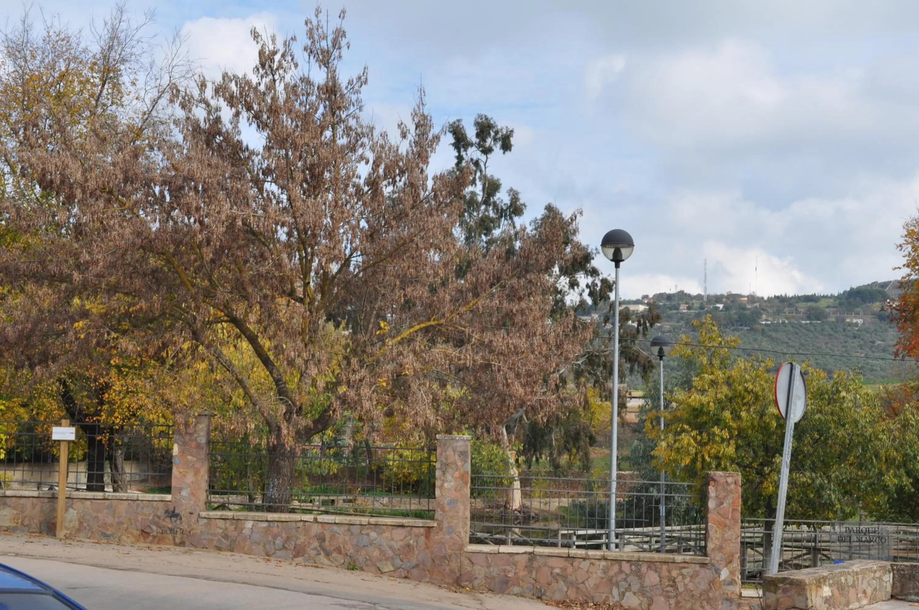 Natural landscape in Apartamento Turístico La Ribera del Marco