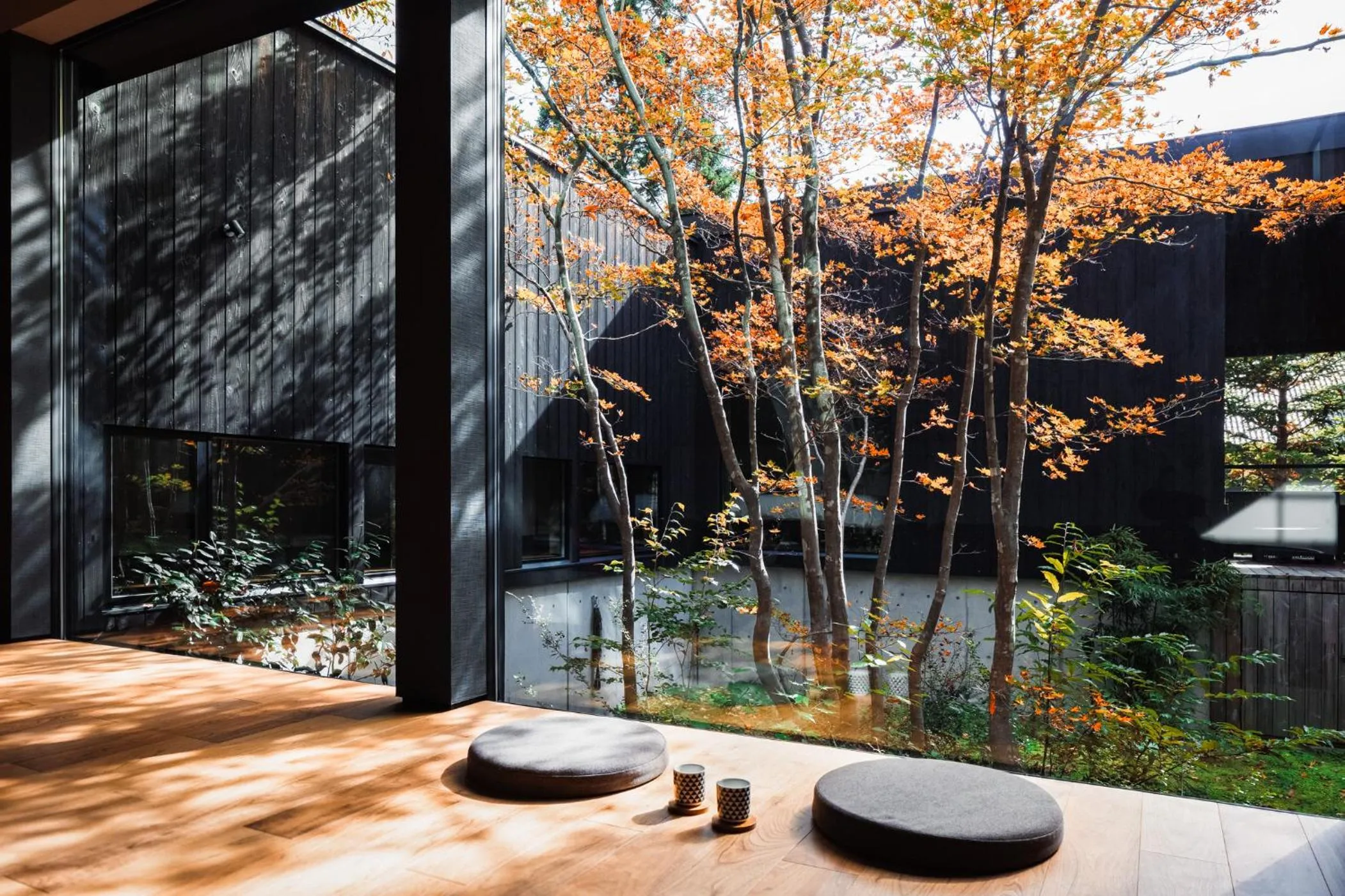 Natural landscape in NIVIA