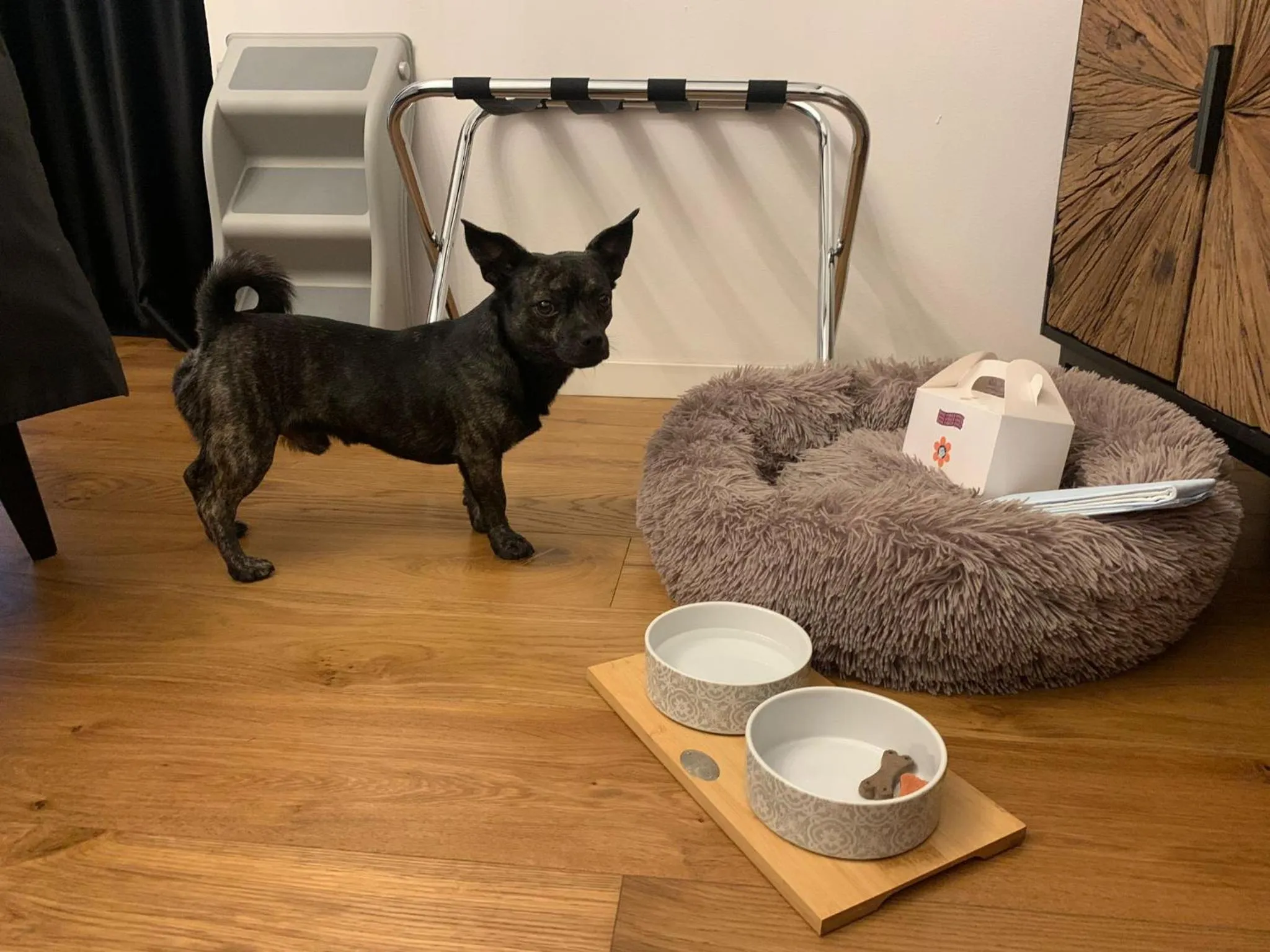 squero 911 appartament