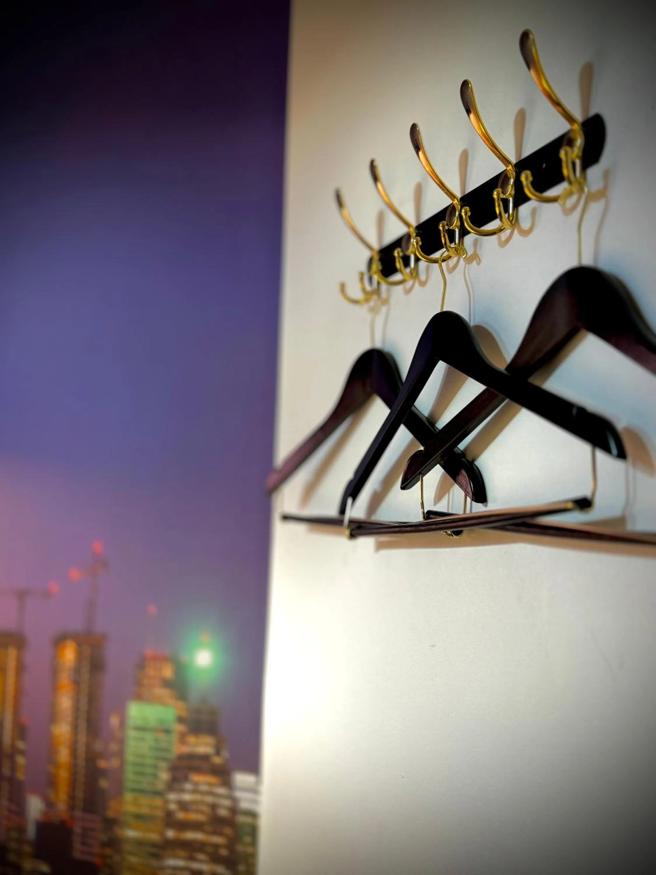 wardrobe in Royal Oak Inn