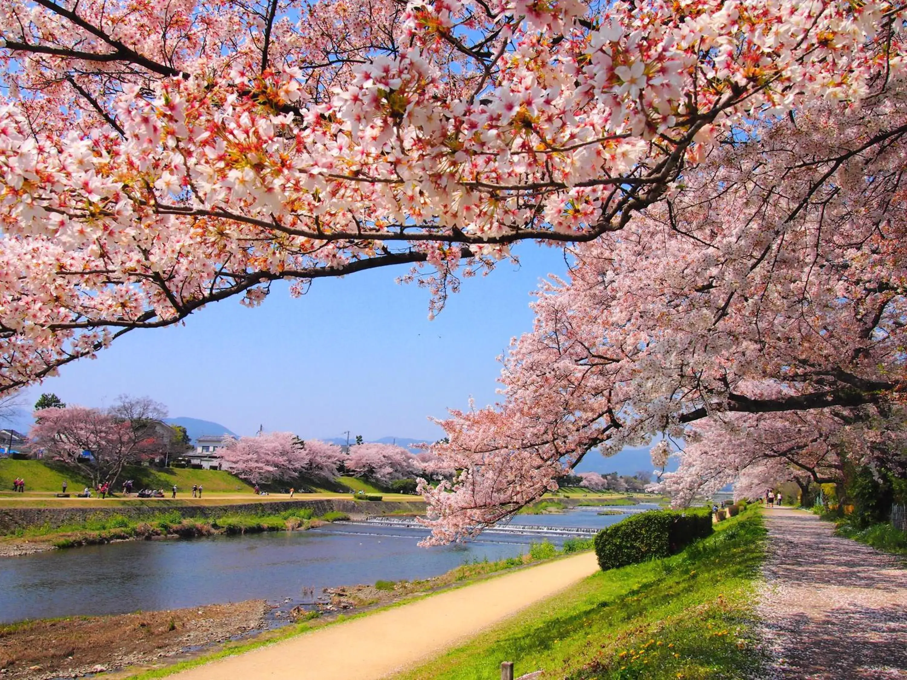 Activities, Natural Landscape in Hotel Grand Bach Kyoto