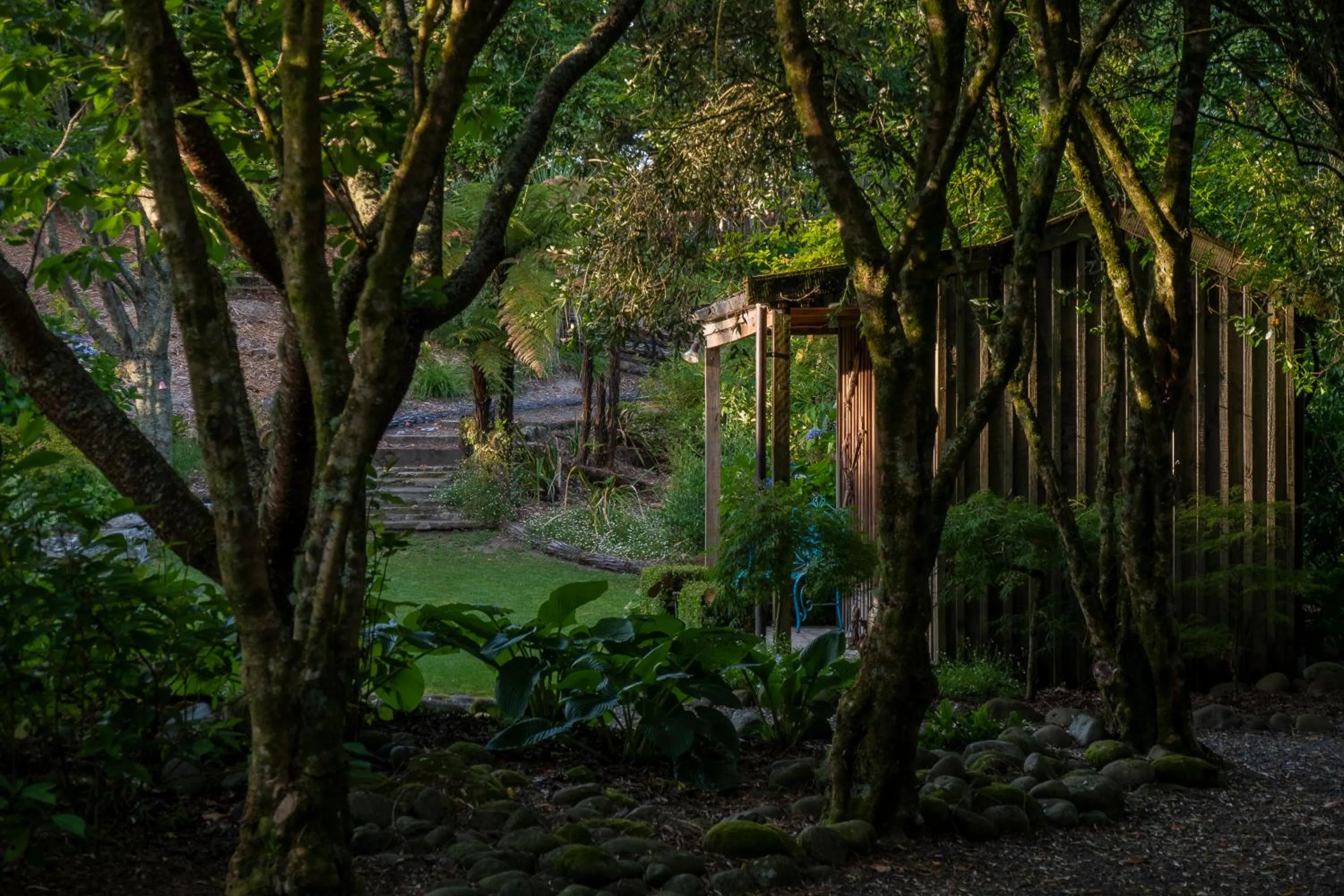 Garden in Bradleys Garden Bed and Breakfast
