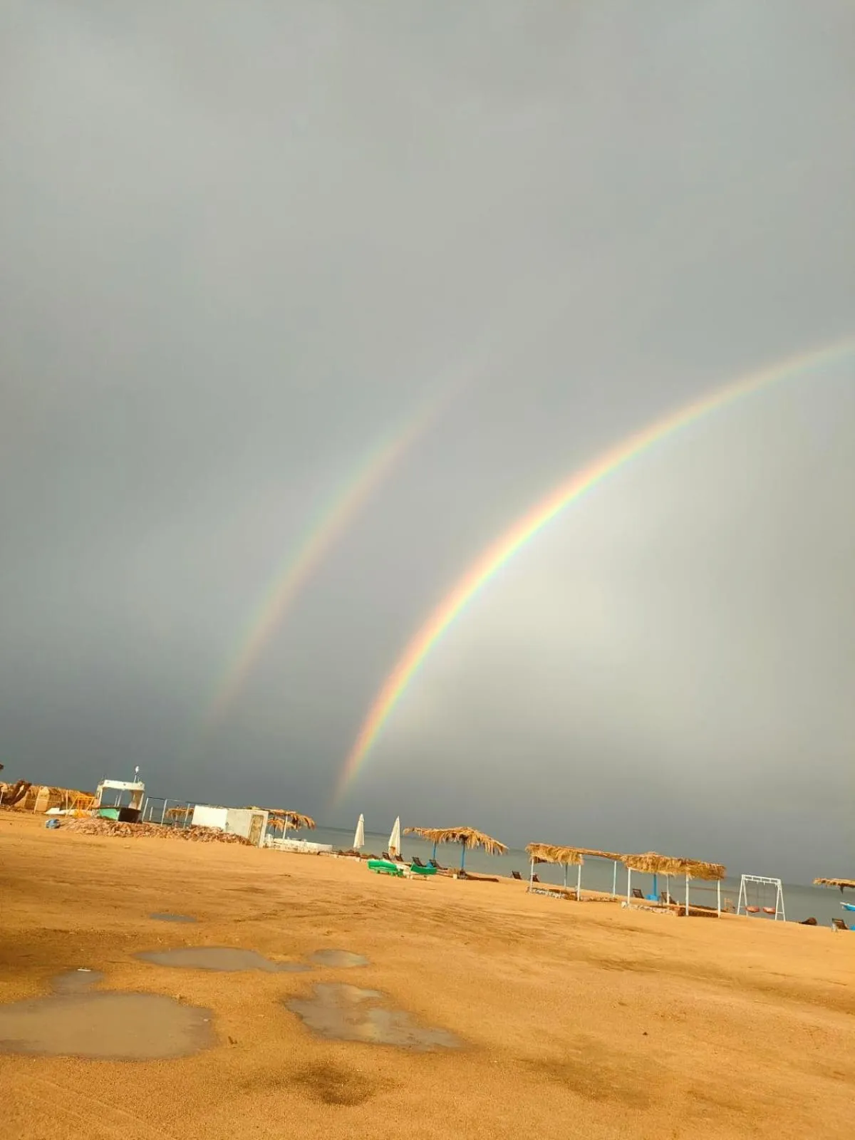 Property building in OASIS Resort