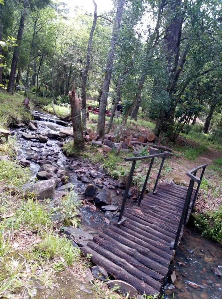 Garden in The Historic Hogsback Inn