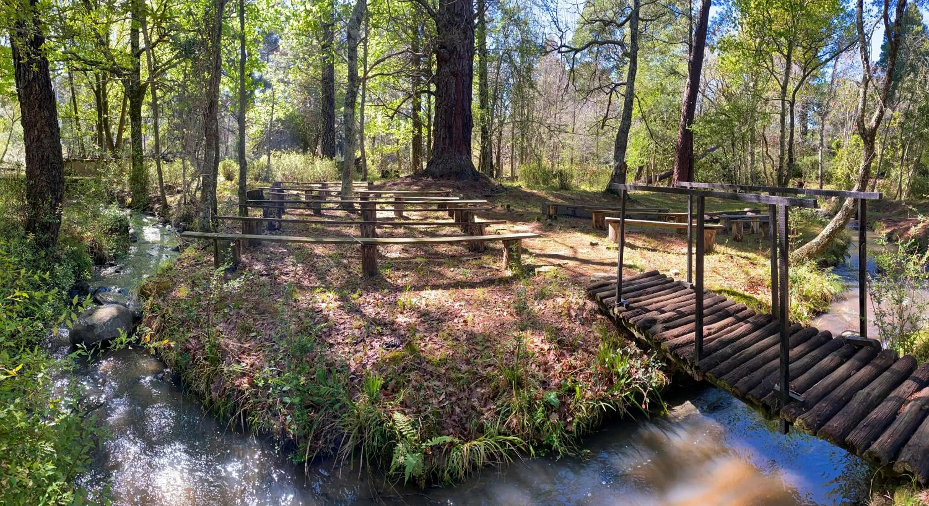 Natural landscape in The Historic Hogsback Inn