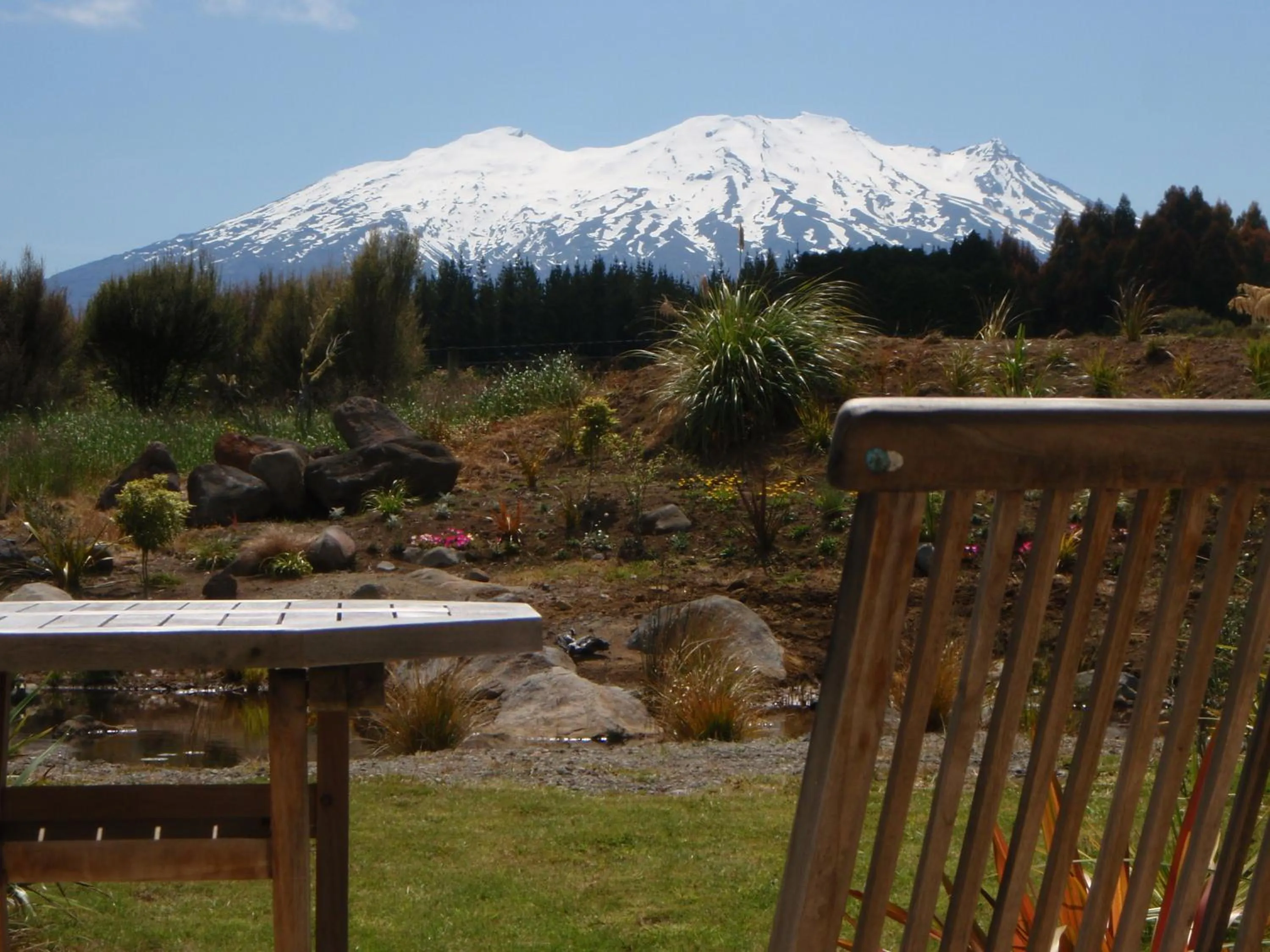 Day in Tongariro Suites