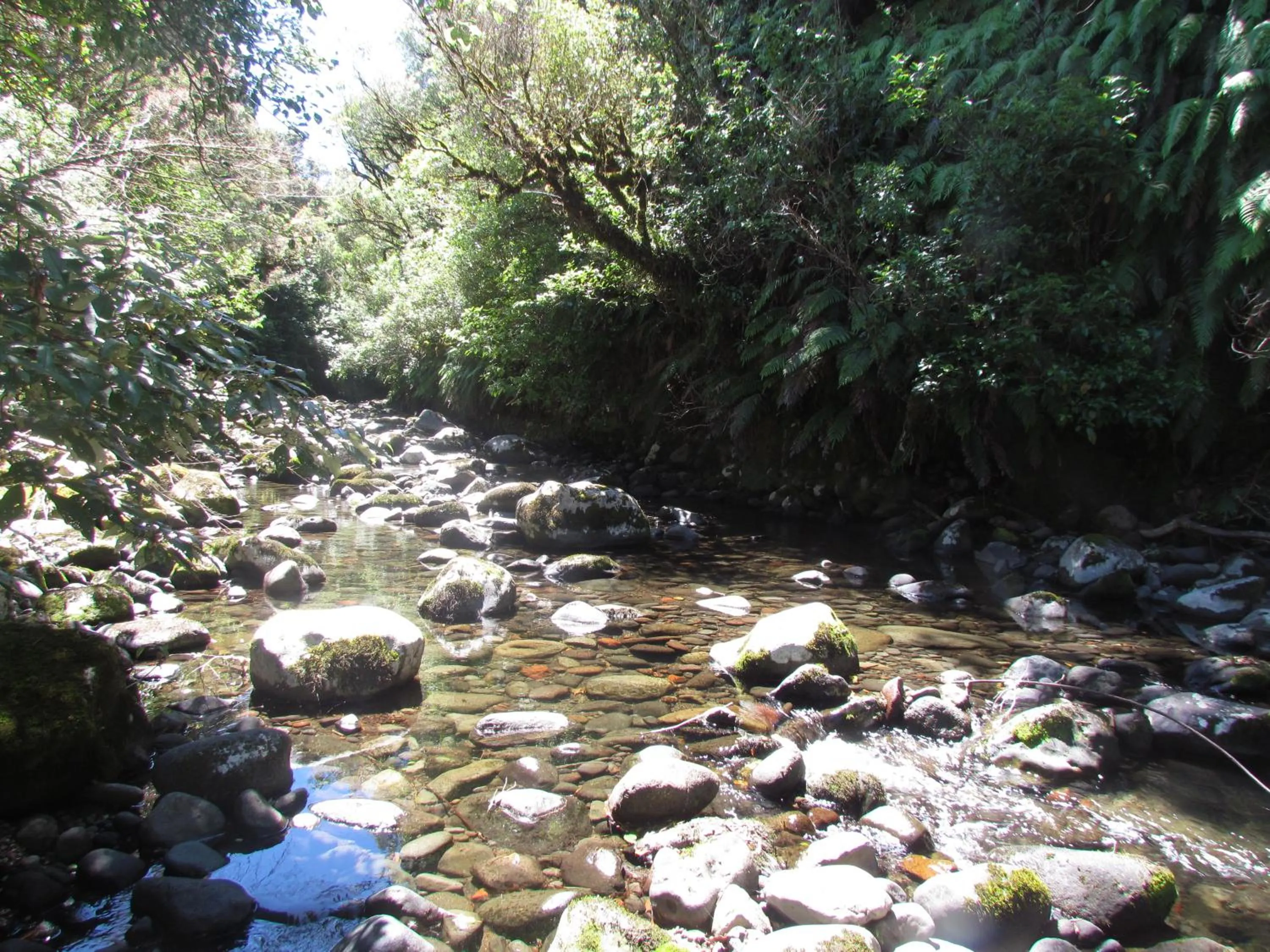 Area and facilities in Tongariro Suites