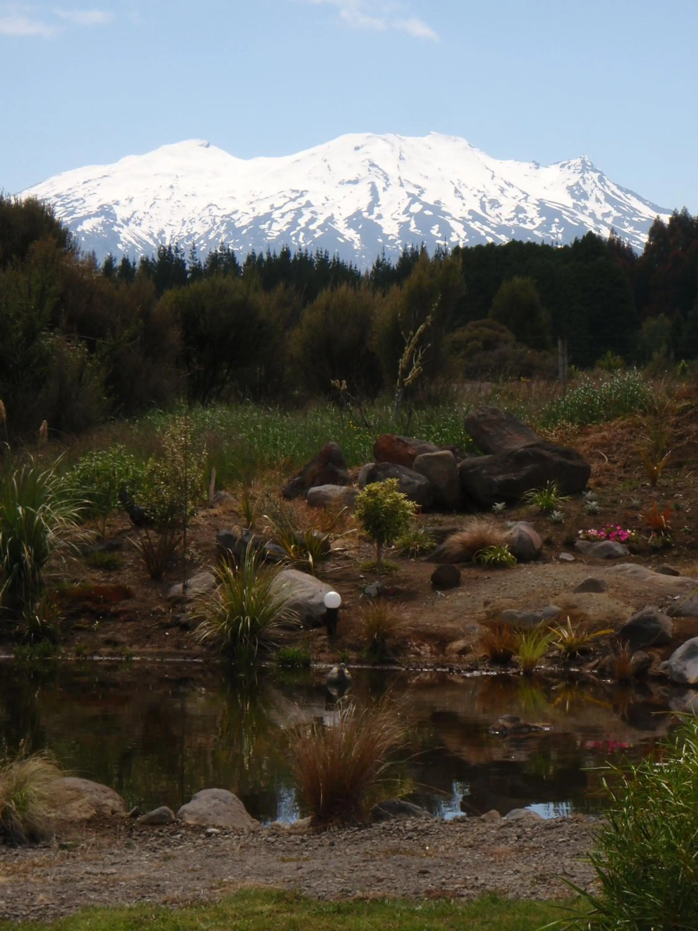 Natural landscape in Tongariro Suites