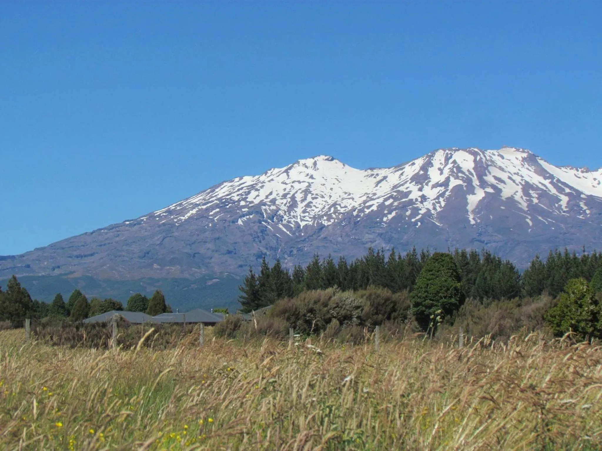 Garden in Tongariro Suites