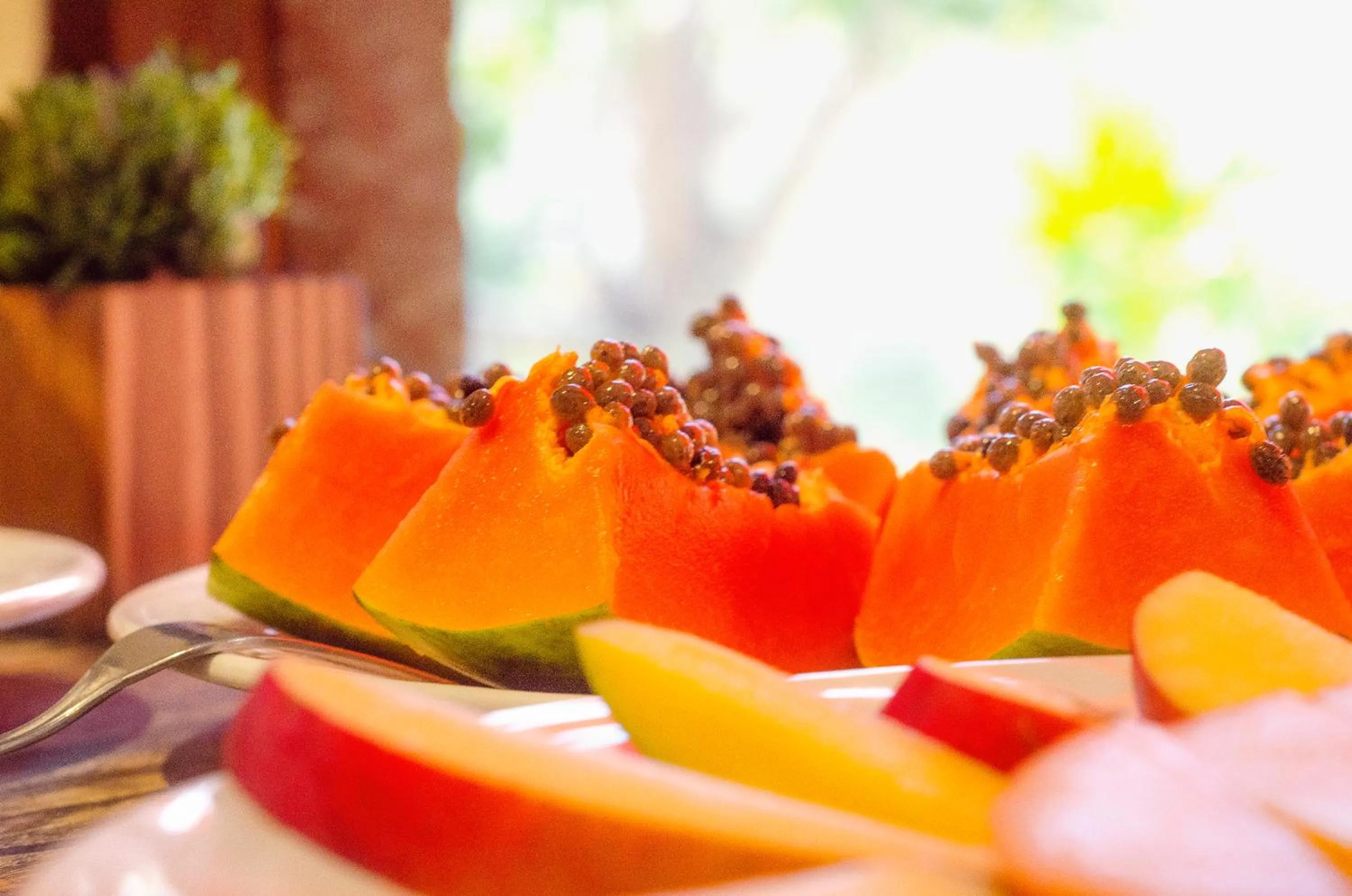 Breakfast in Hotel Fazenda FASCINAÇÃO