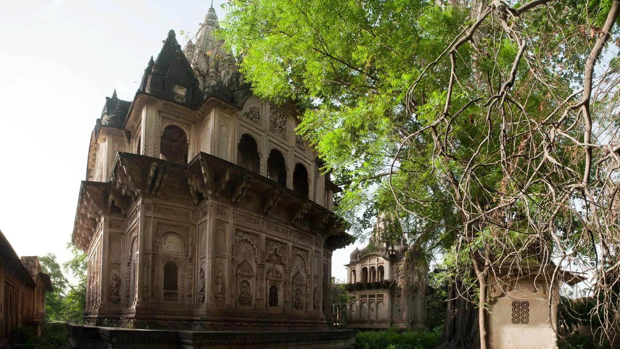 Nearby landmark in Neemrana's - Deo Bagh