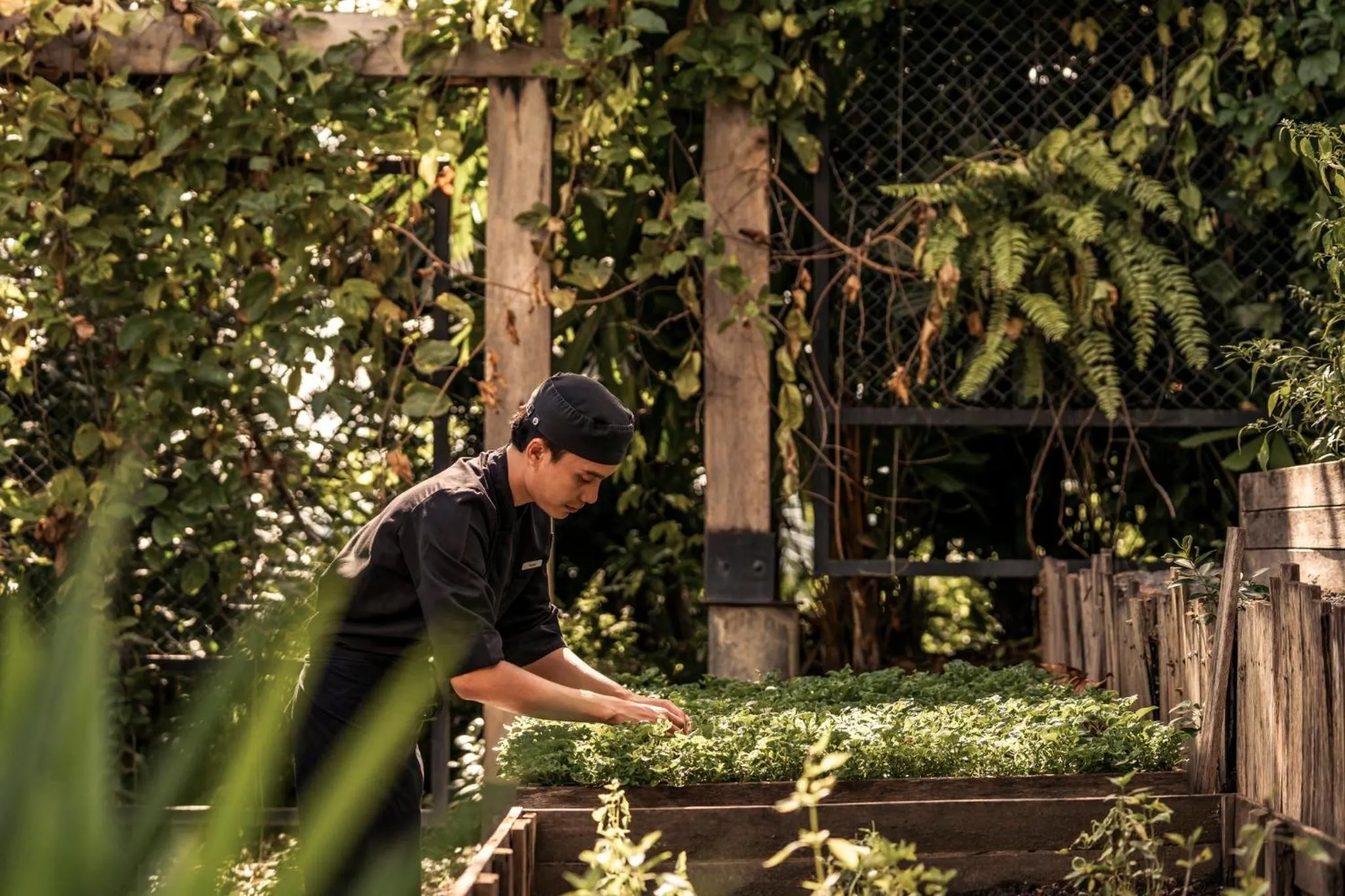 Garden in COMO Point Yamu, Phuket
