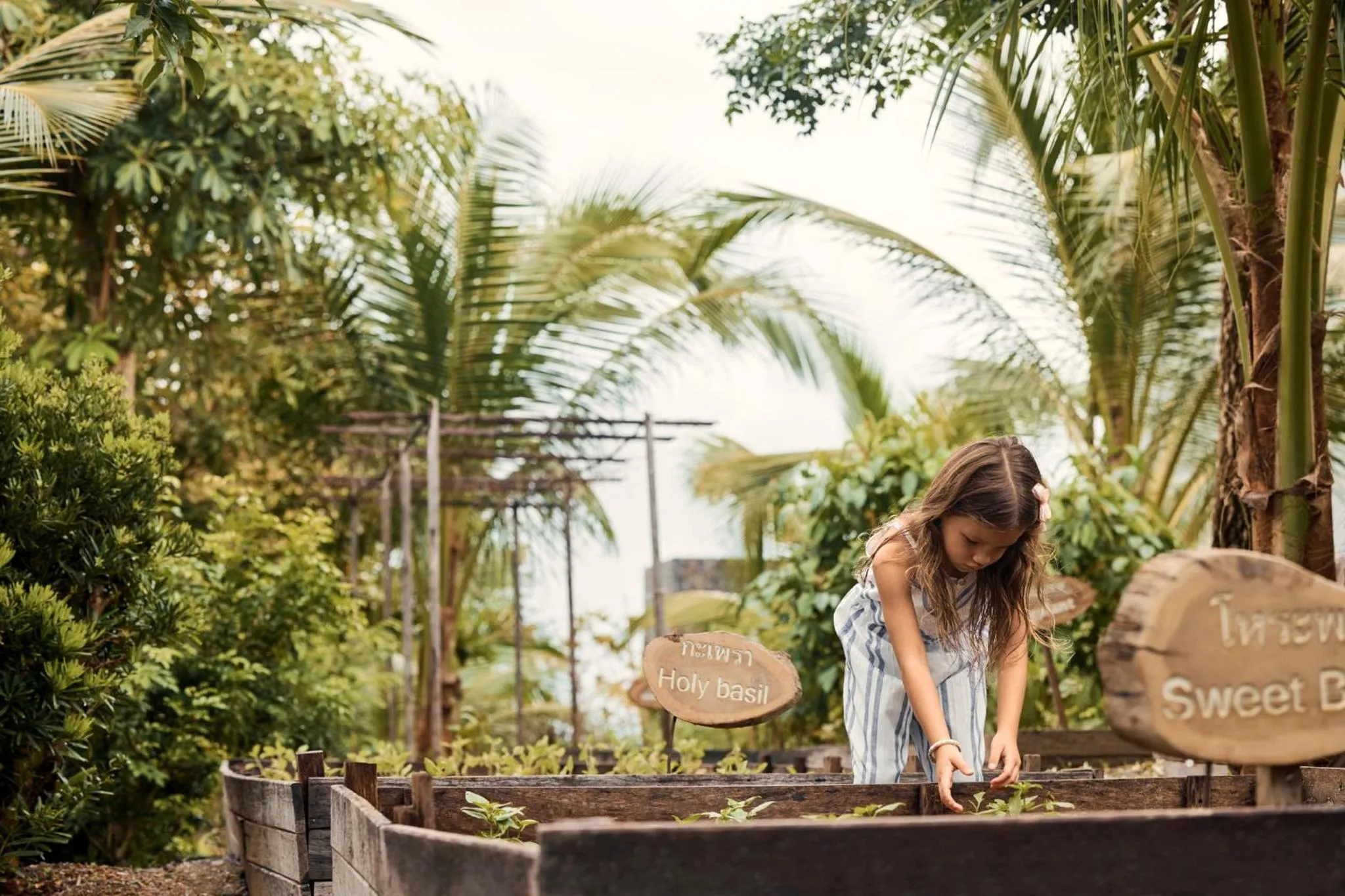 Garden in COMO Point Yamu, Phuket
