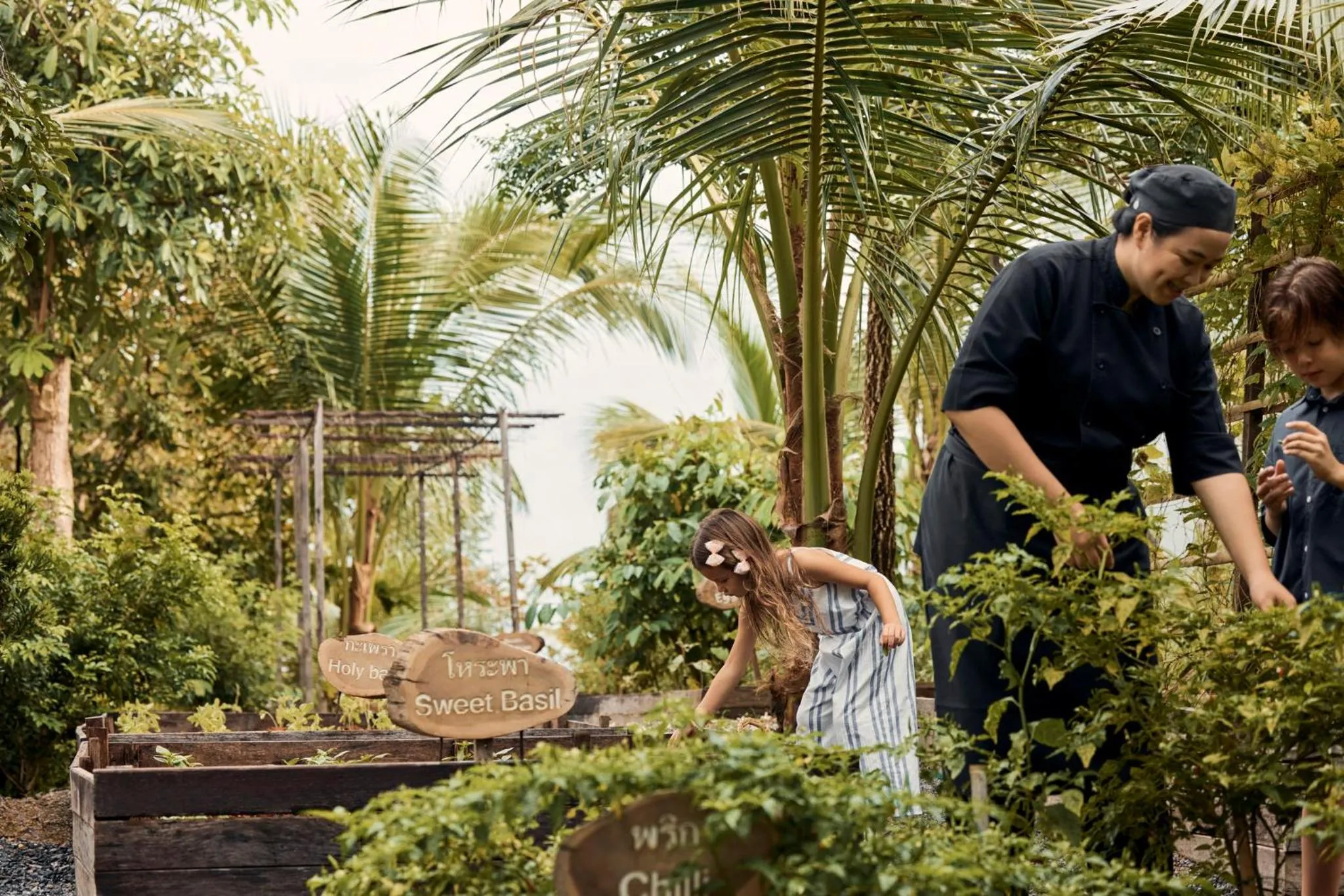Garden in COMO Point Yamu, Phuket