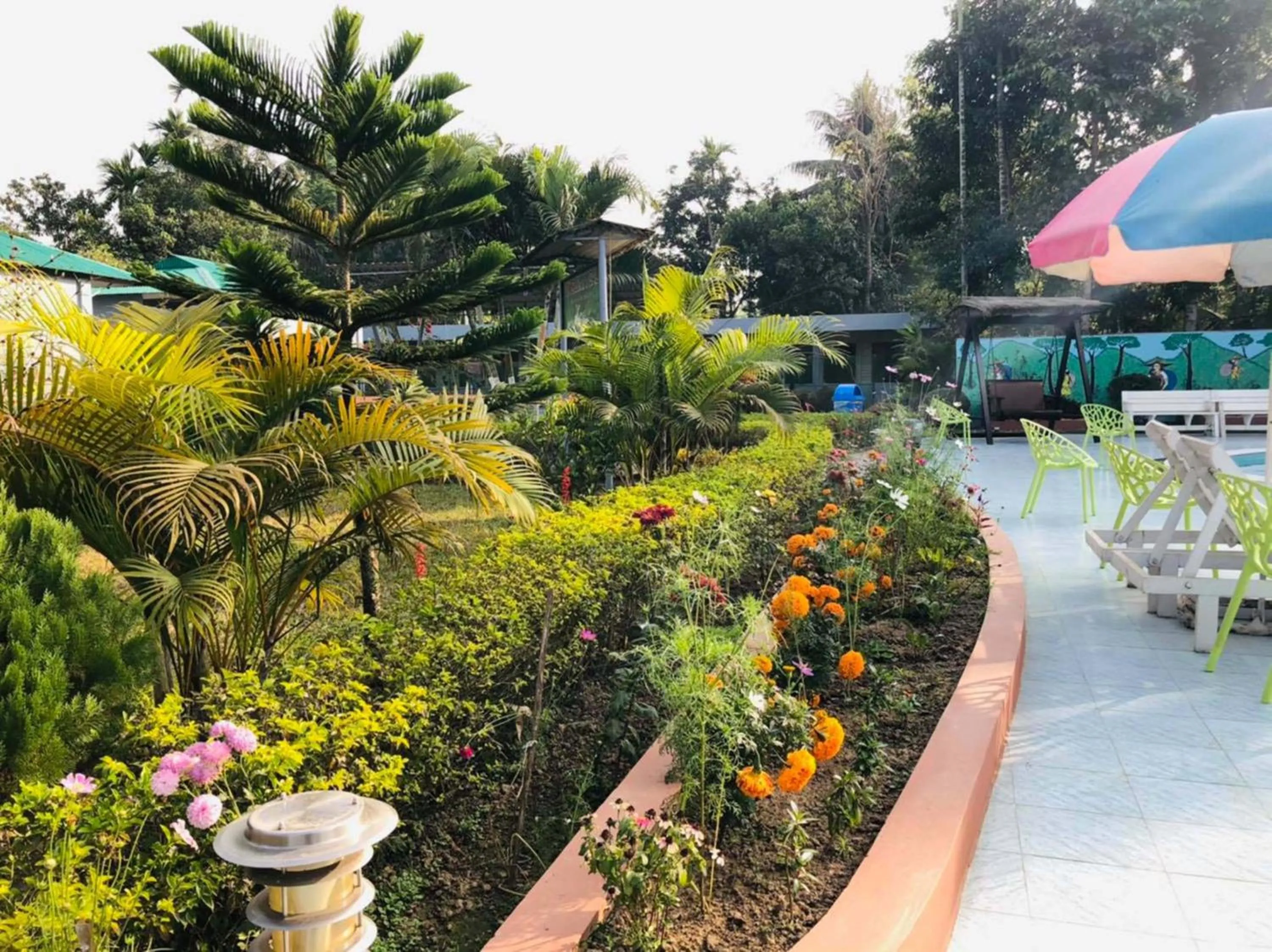 Garden in Tea Heaven Resort