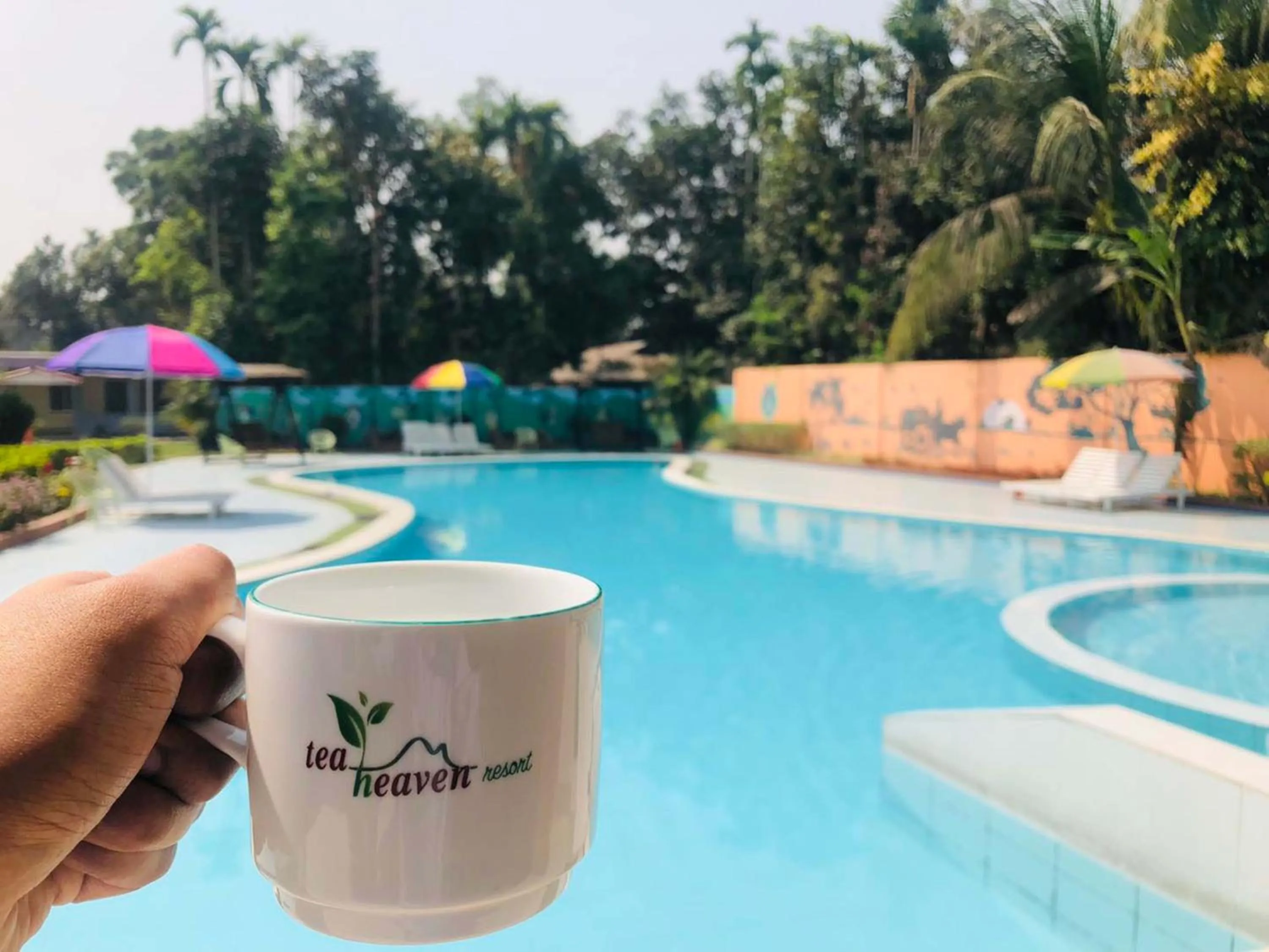 Swimming pool in Tea Heaven Resort