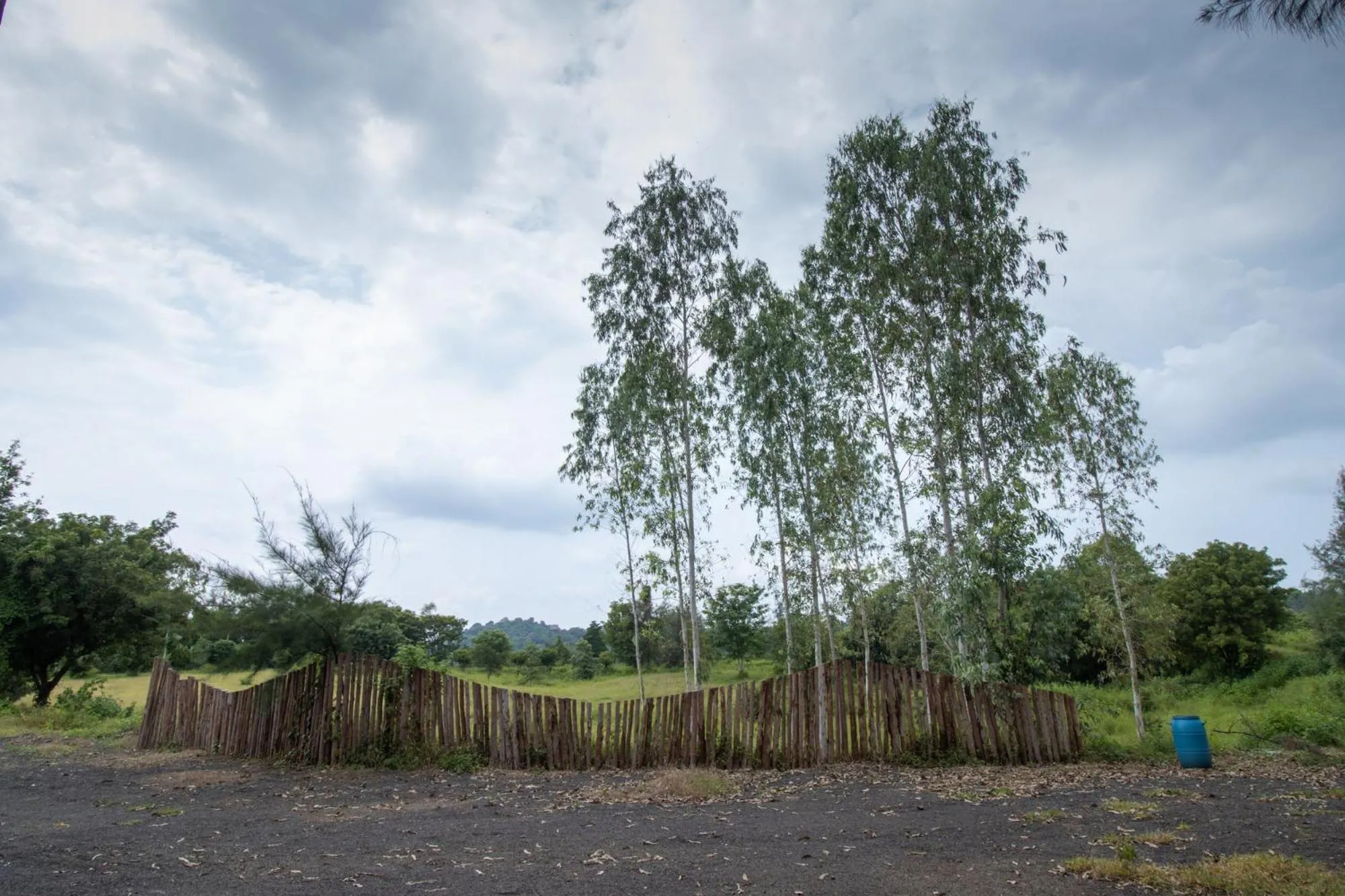 Natural landscape in Vrindavan Gopala Resort