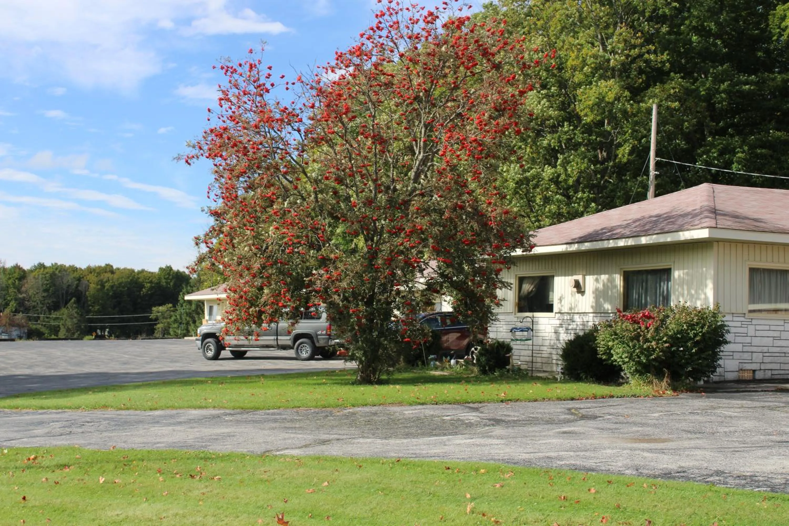 Property building in adoba® Dreamland